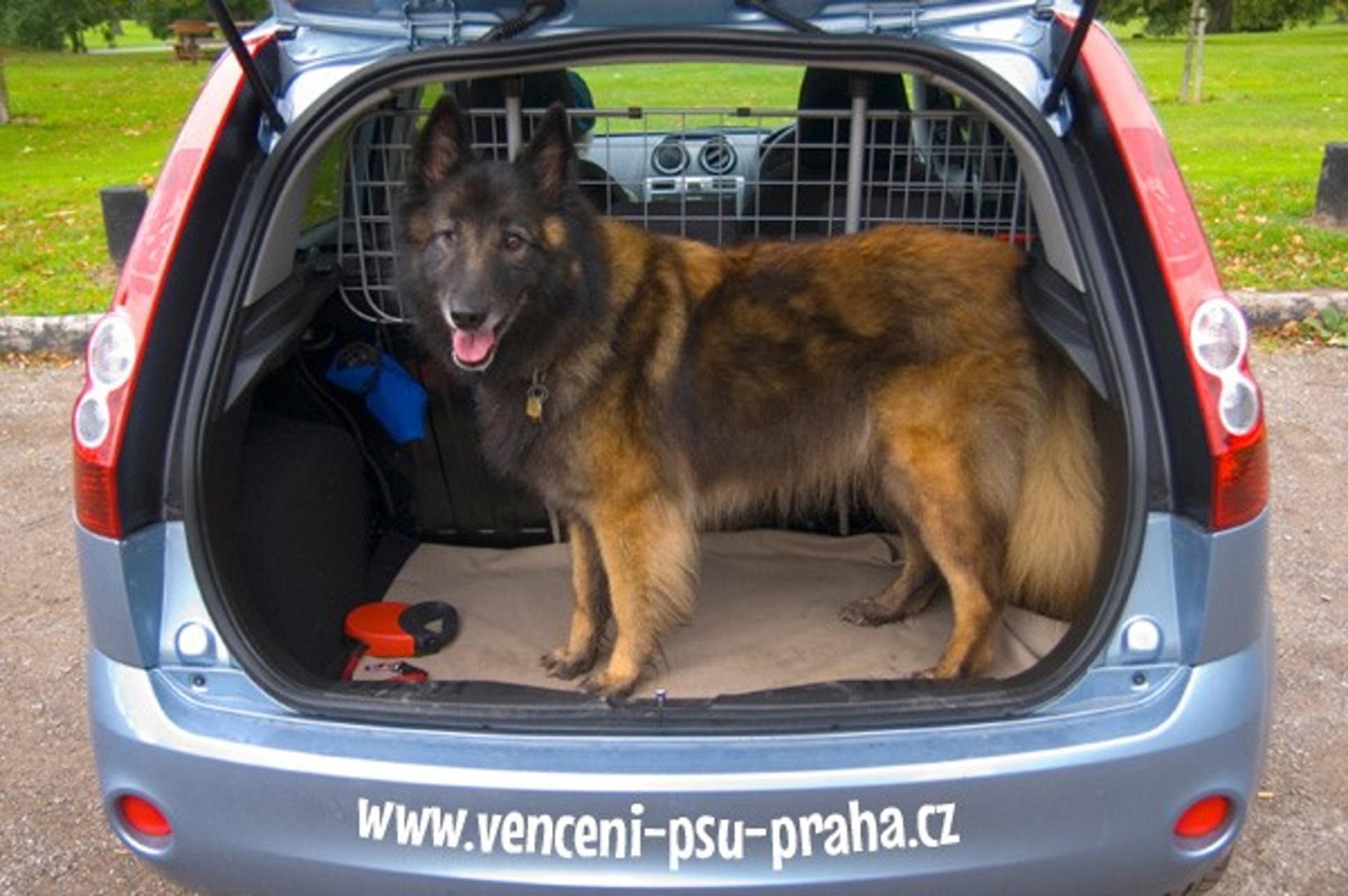 Venčení psů Praha foto 3