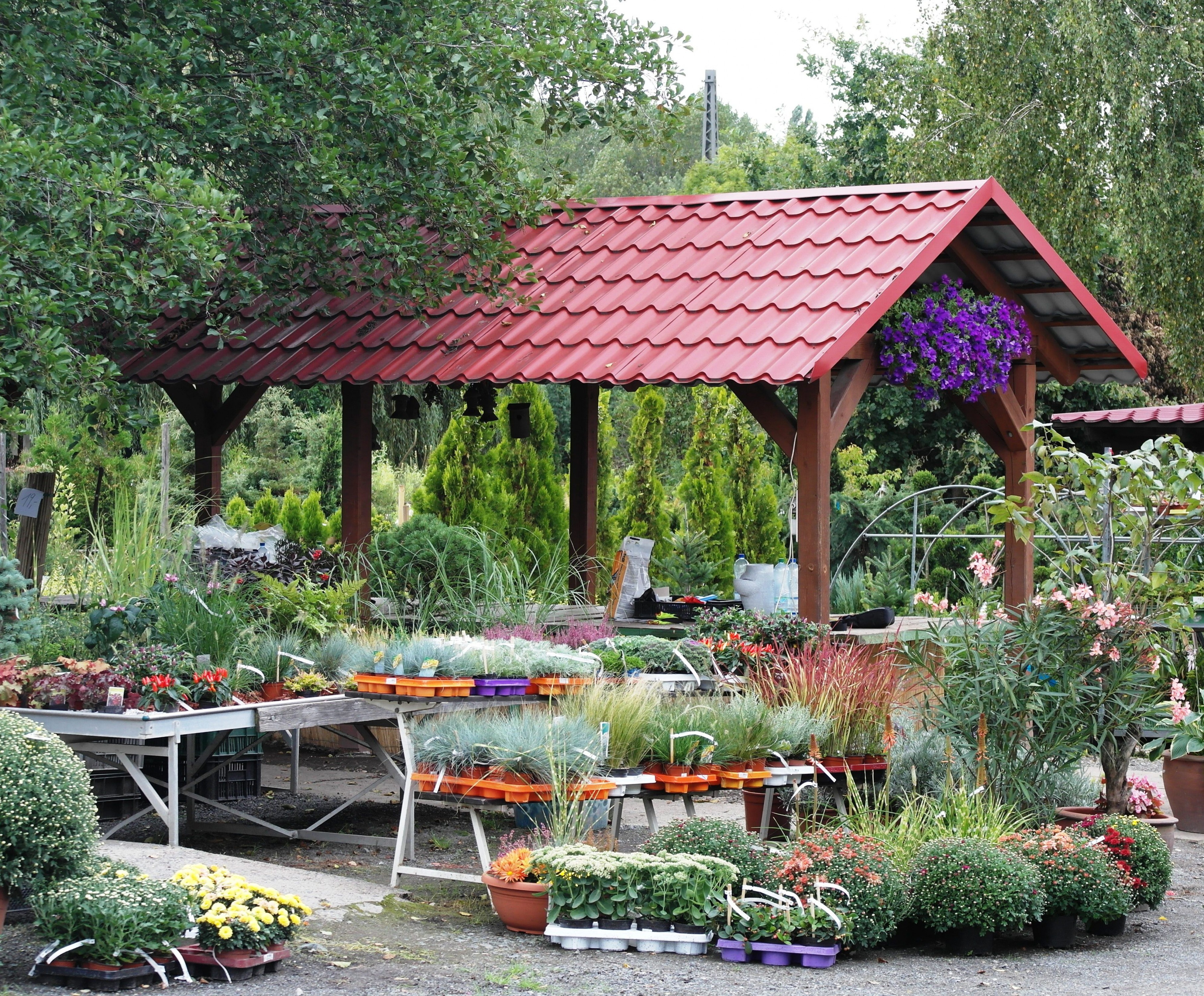 Zahradnictví Kočí foto 4