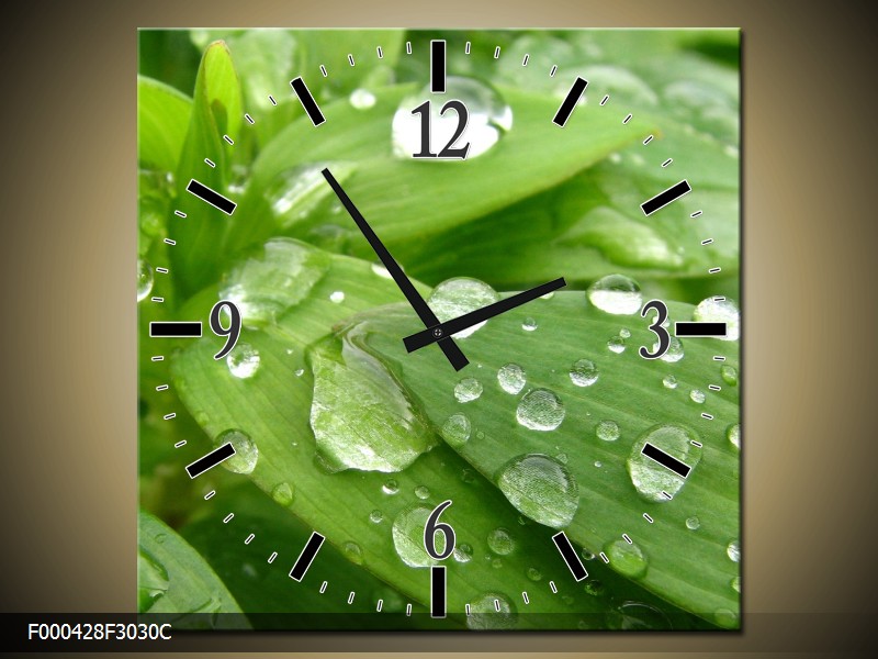 ÚžasnéObrazy.cz foto 3