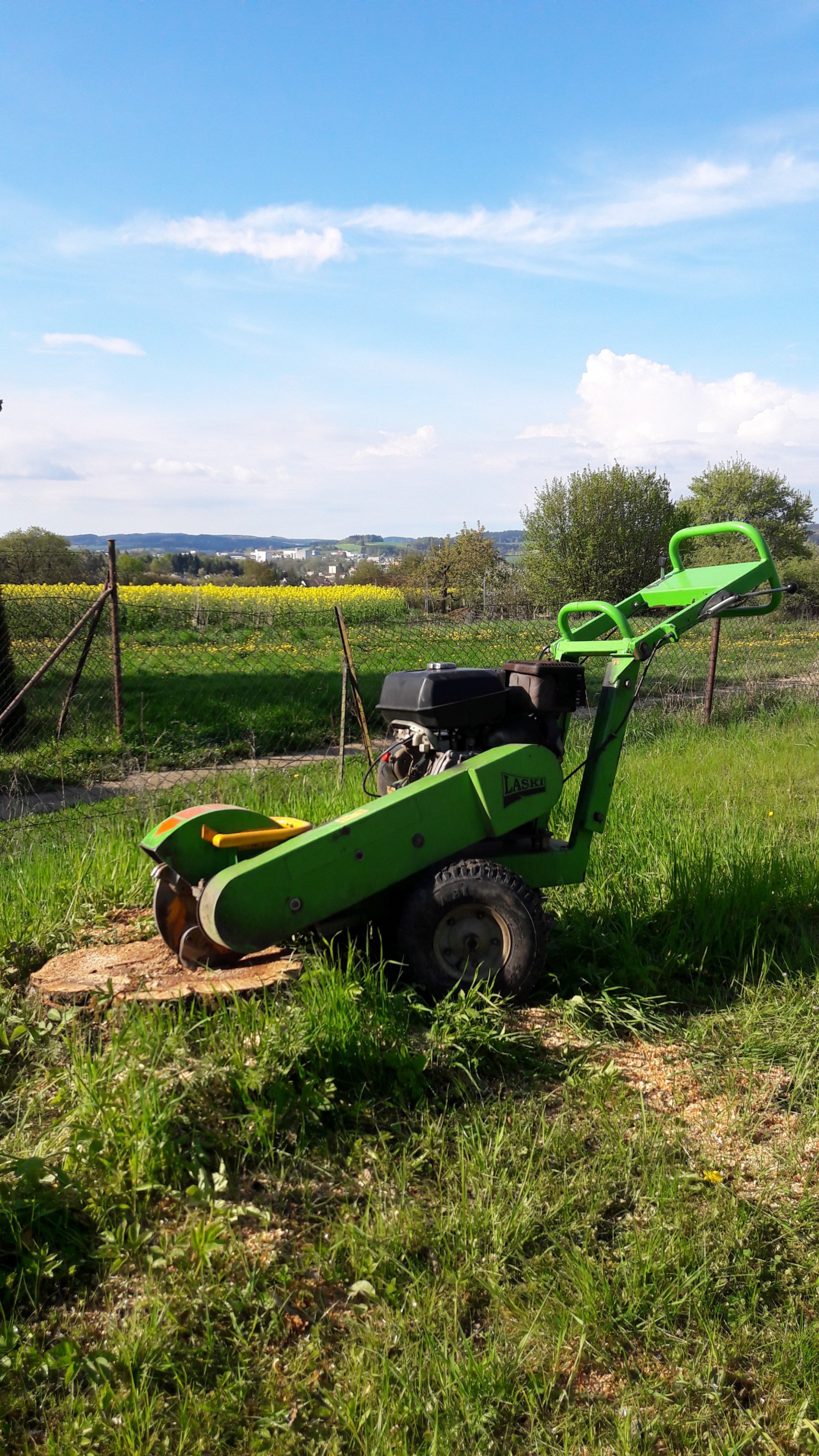 František Richter - kácení-frézování foto 2