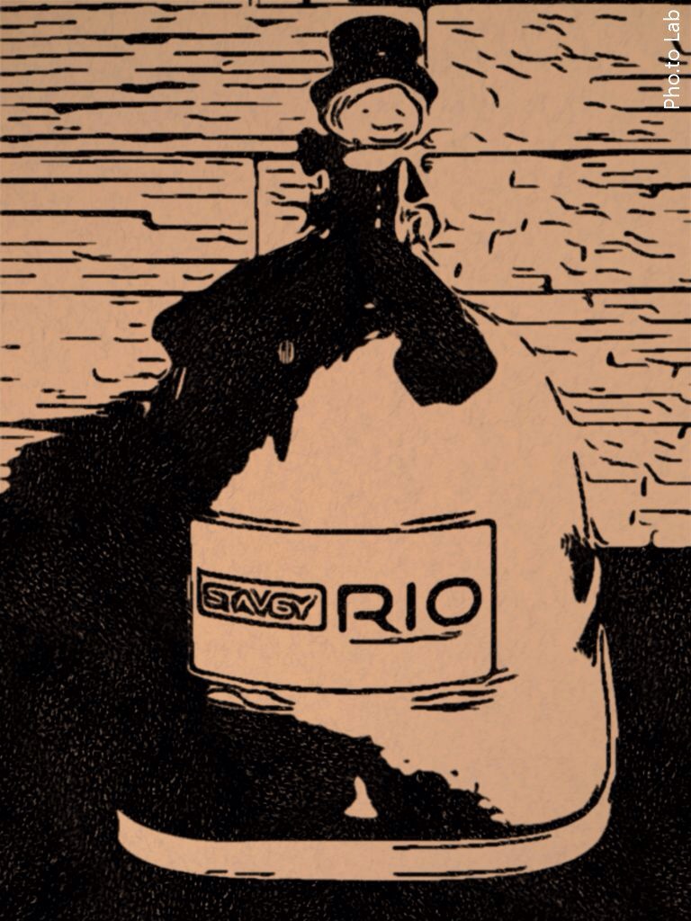 STAVBY RIO, s.r.o. foto 2