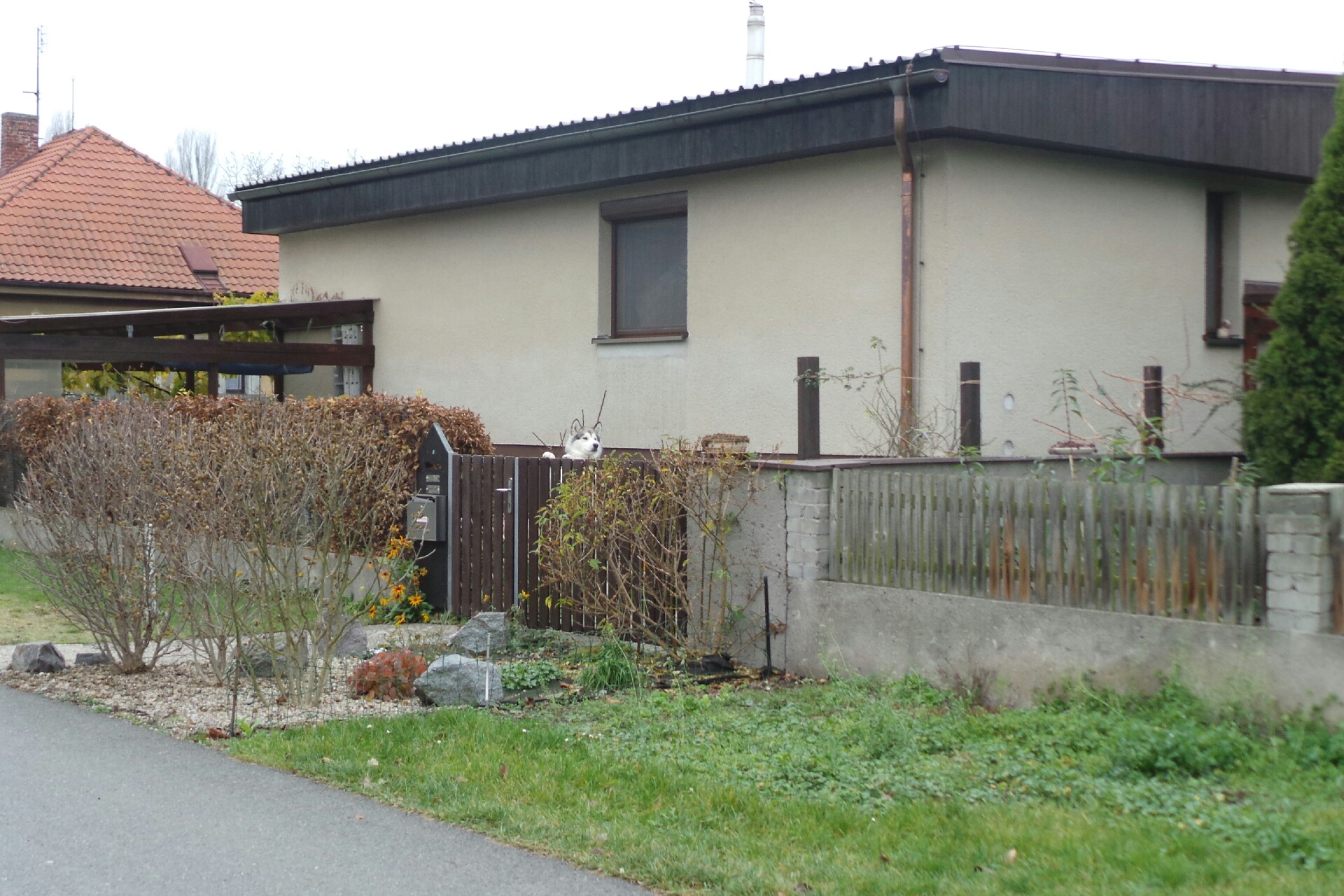 Ing. Jaroslav Futera foto 1