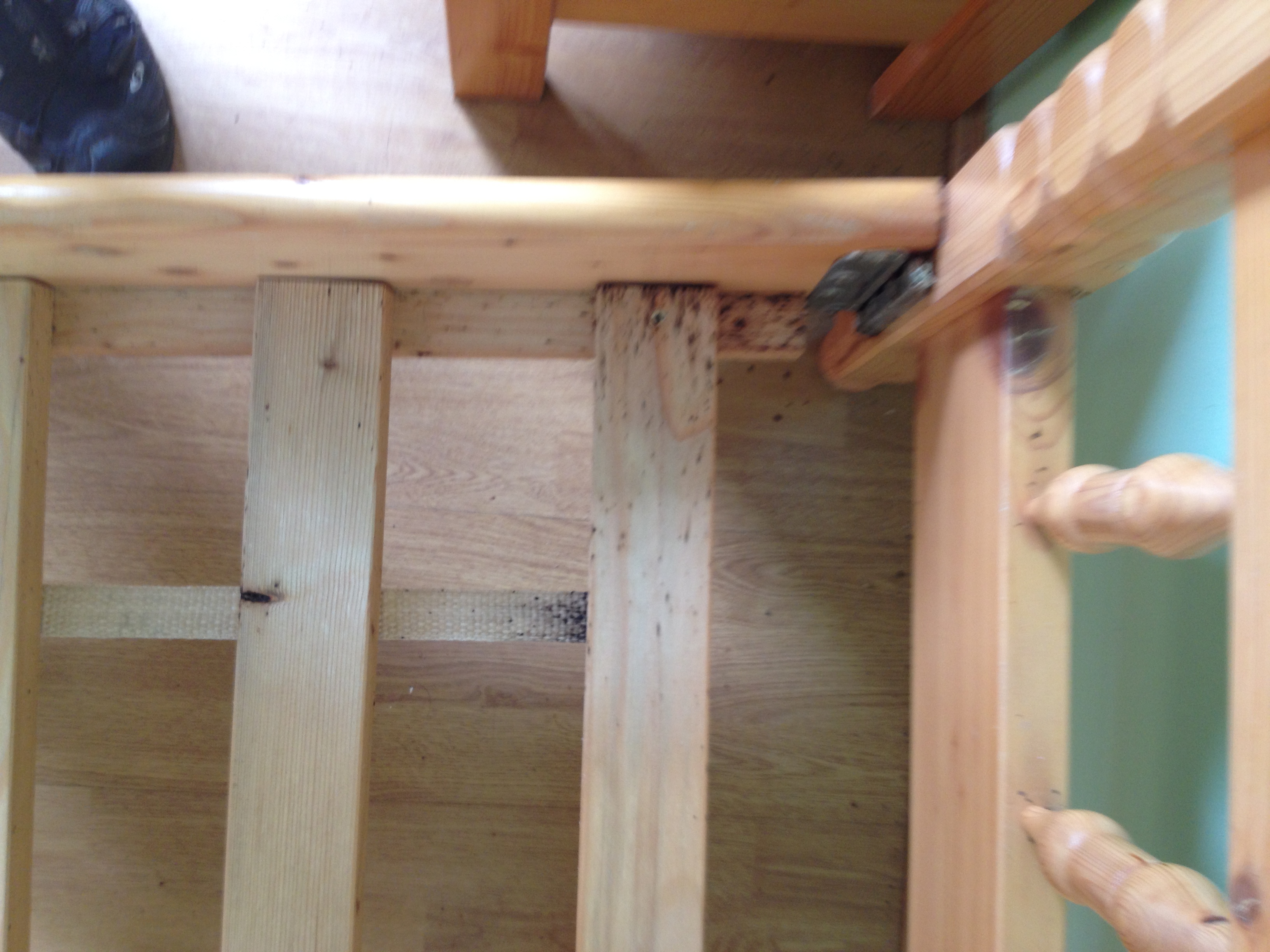 Eva Šulcová - Deratizace foto 4