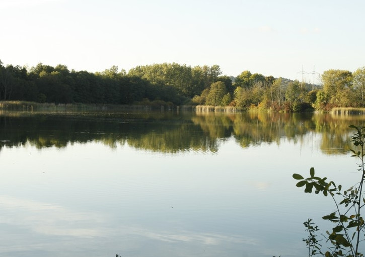 Lesy města Dvůr Králové nad Labem, s.r.o. foto 3