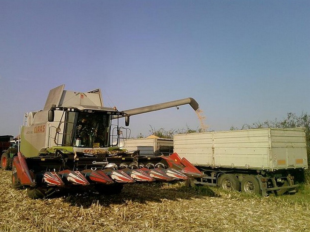 Zemědělské družstvo Hodonice č.p. 258, družstvo foto 2