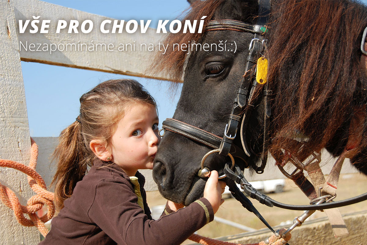 Equivet.cz foto 6