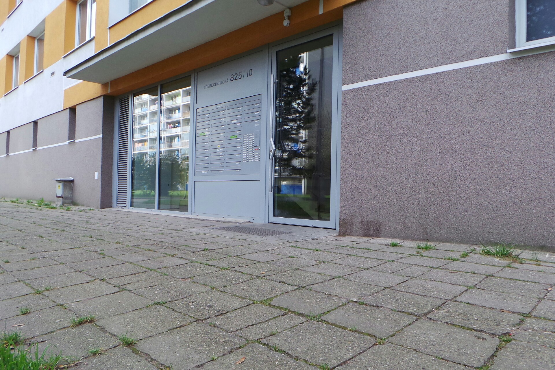 Pavel Holeček foto 1