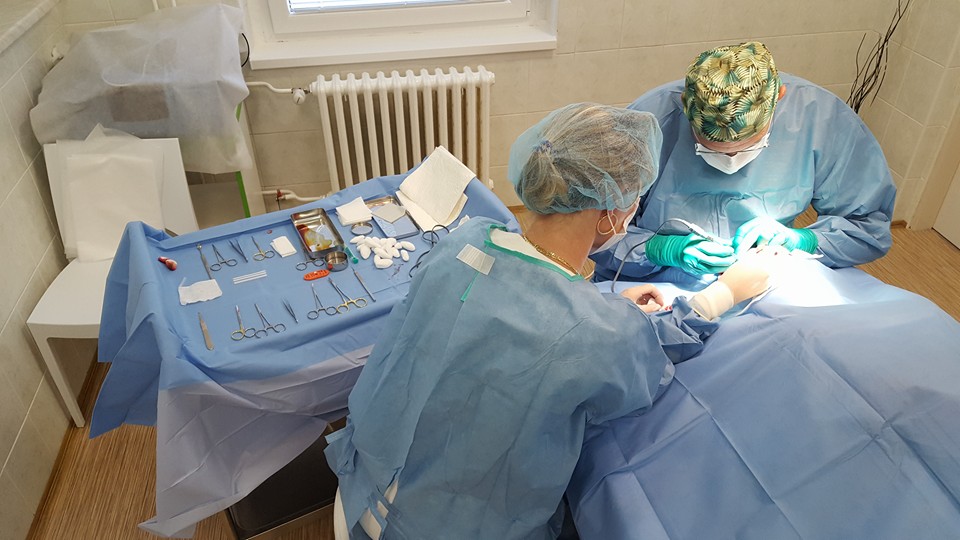 My Best Care s.r.o. foto 2