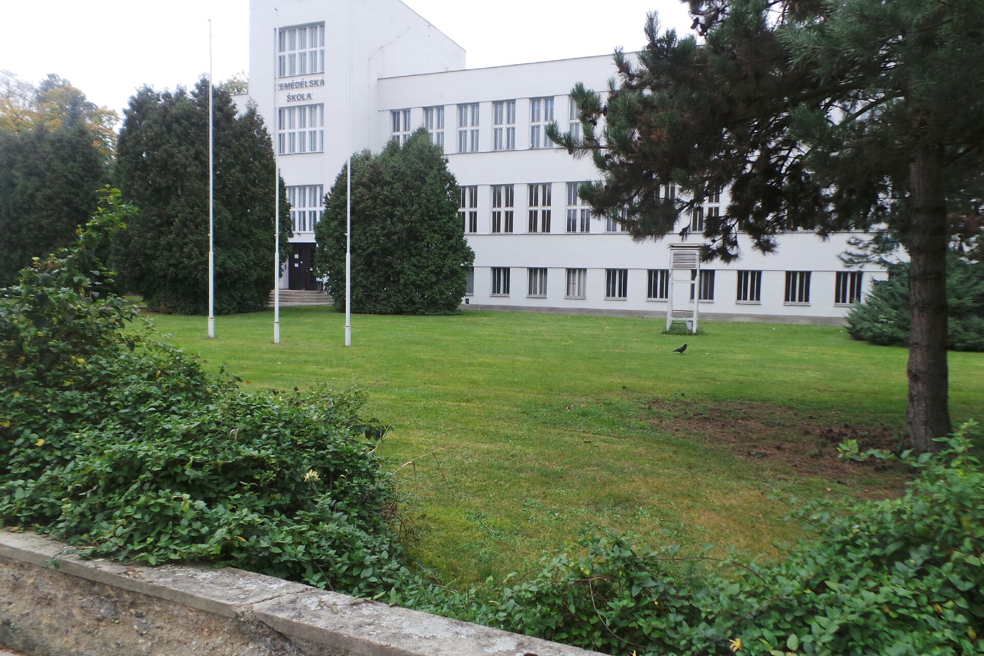 Psychotesty pro řidiče PhDr. Mgr. Lucie Mitáčková