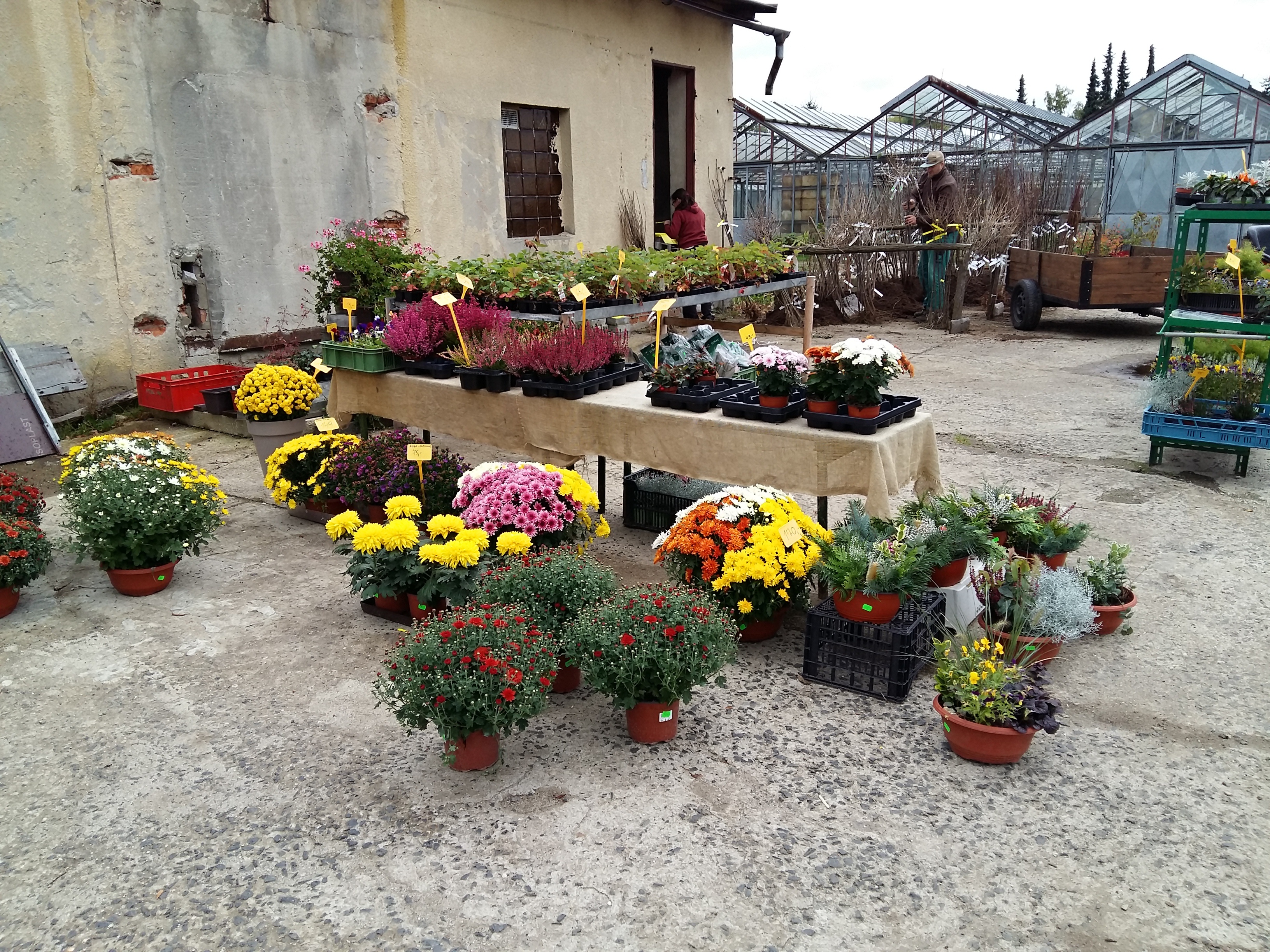 Zahradnictví U soudu - zahradní práce foto 4