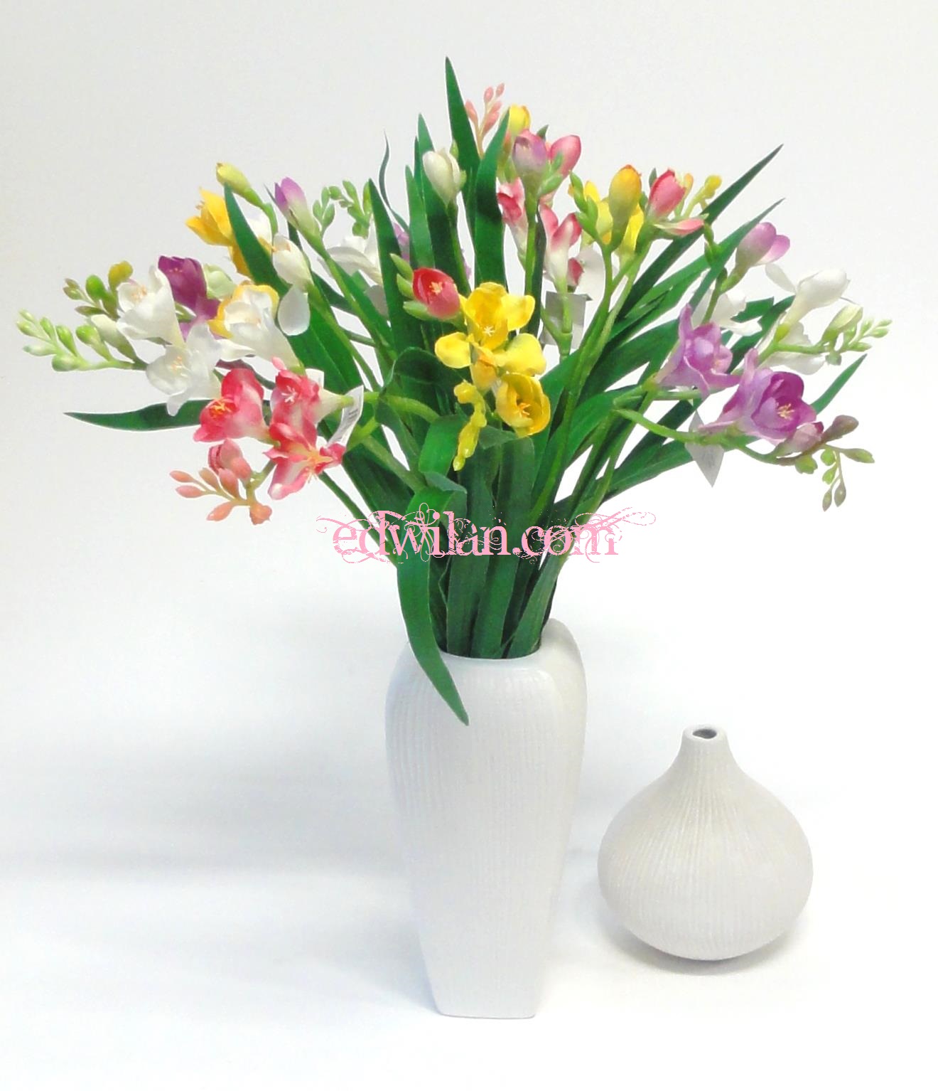 Edwilan.com foto 6