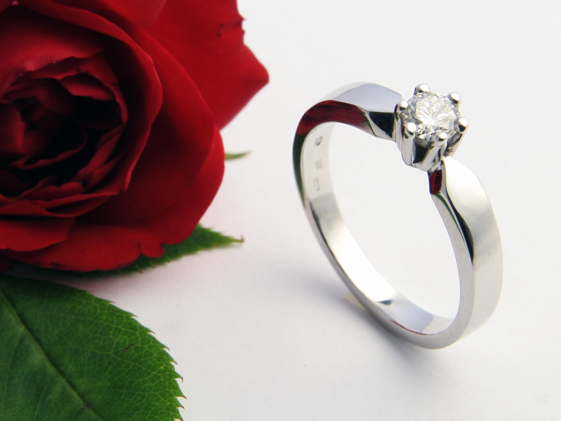 Ráj snubních prstenů