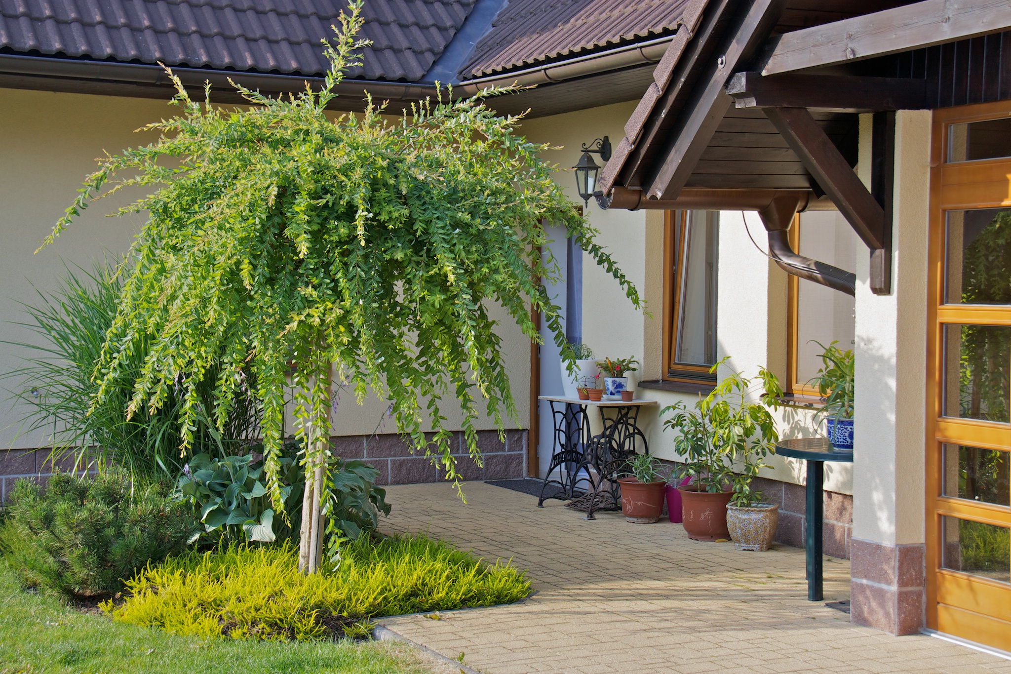 Ubytování Žďárské vrchy foto 3