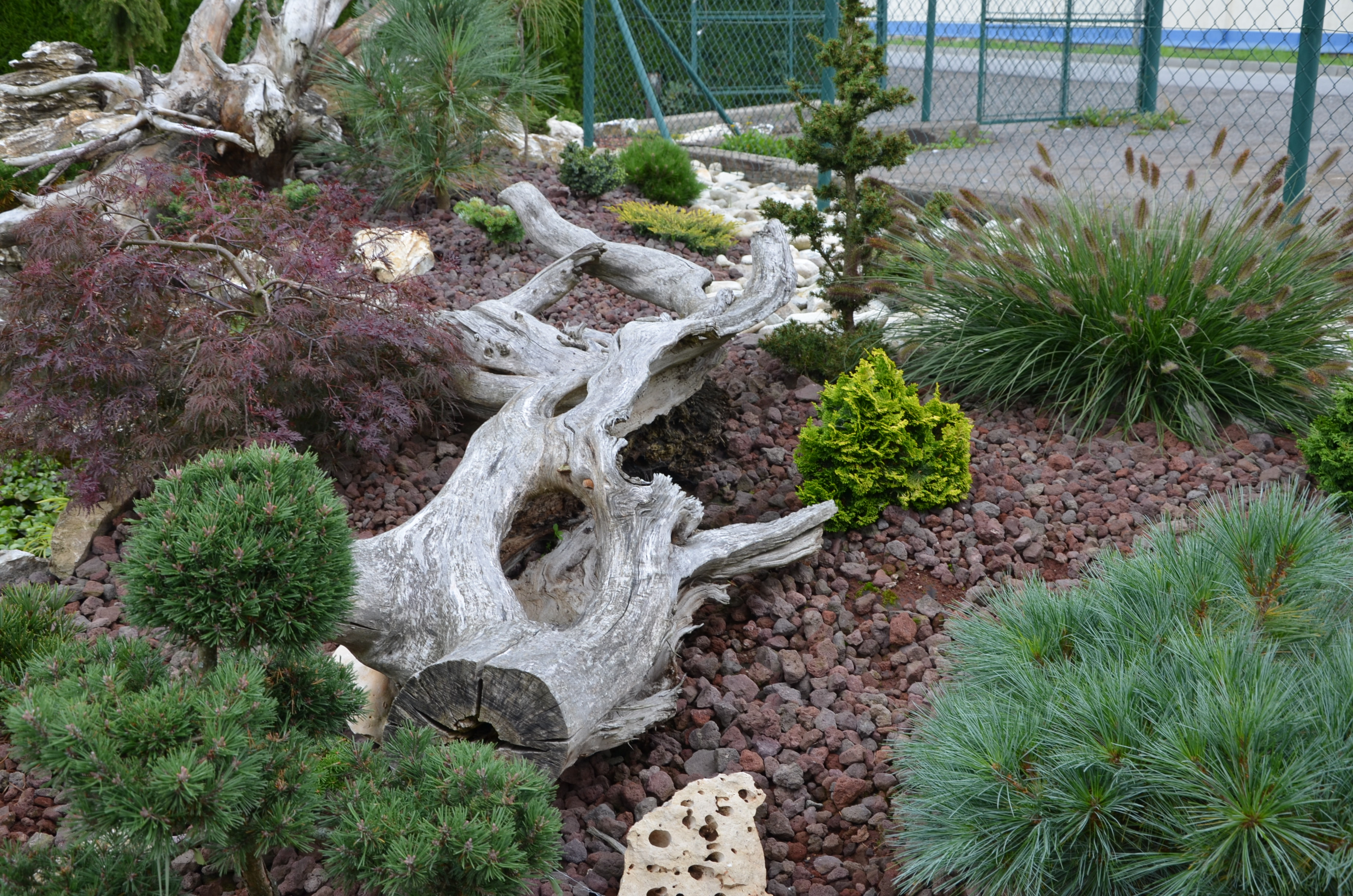 Zahradnictví na Barvínkově foto 3