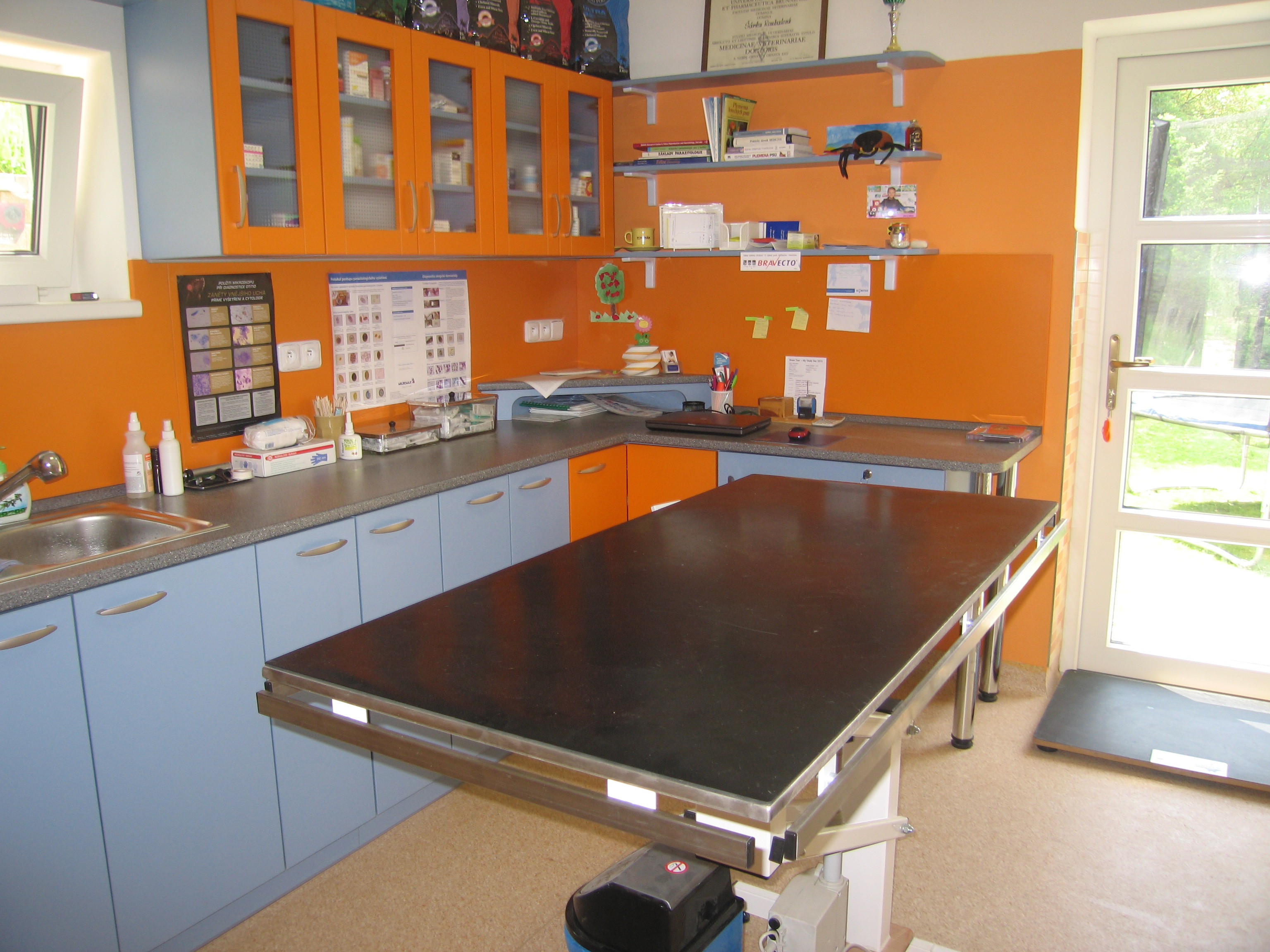 MVDr. Šárka Keňová - veterinární ambulance foto 4