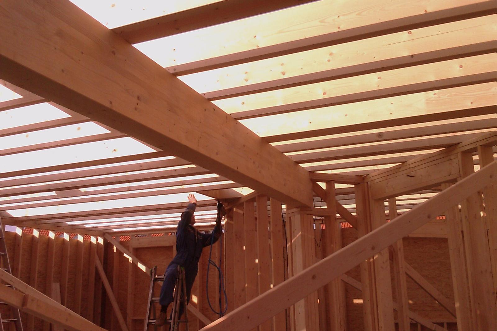 Tesařské práce - Petr Číža