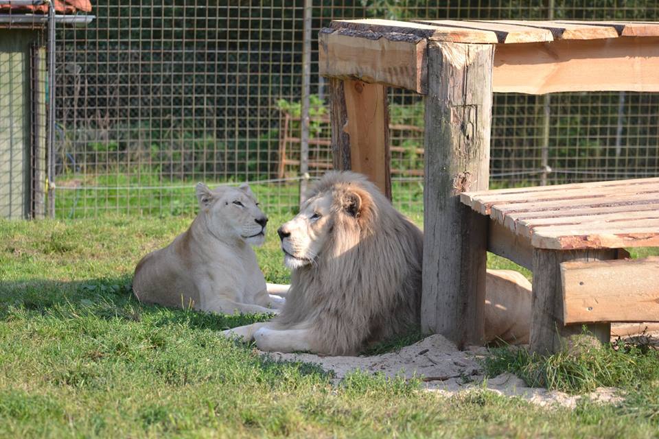 Zoologická zahrada Dvorec foto 4