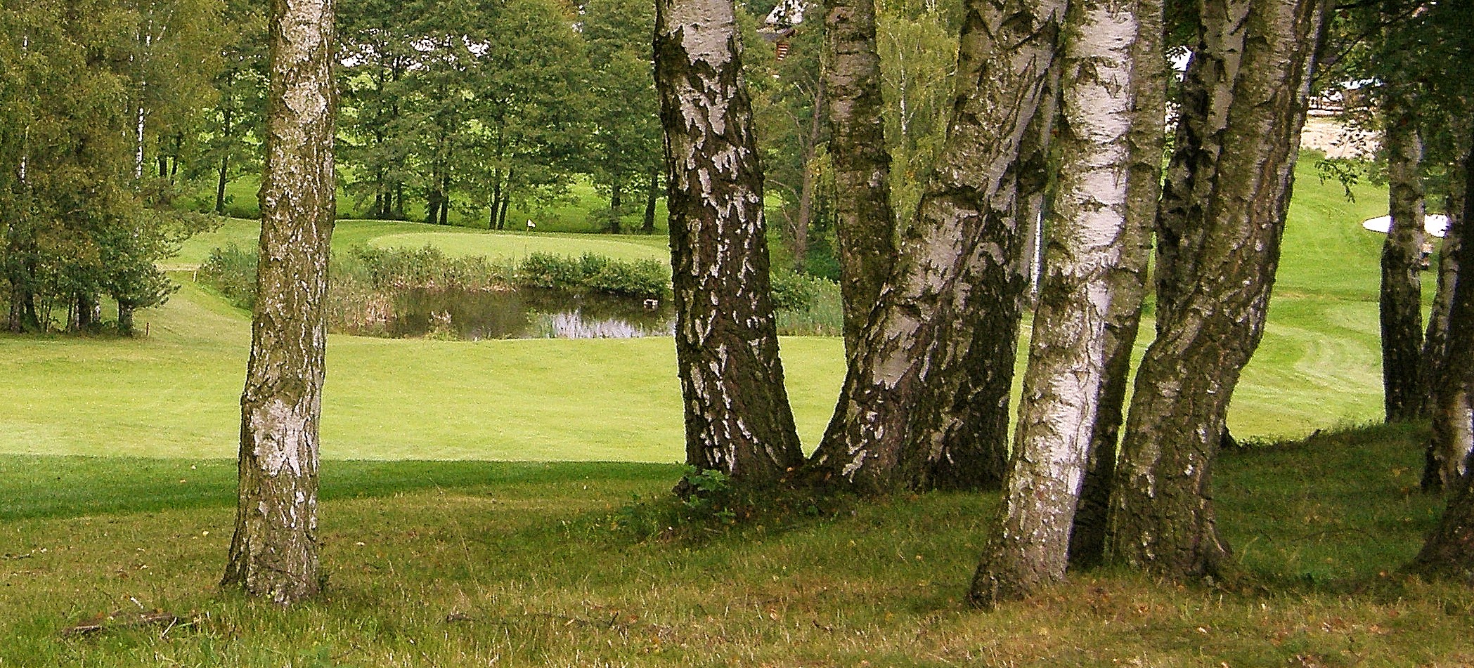 KRÁLOVSKÝ GOLF CLUB MALEVIL foto 3