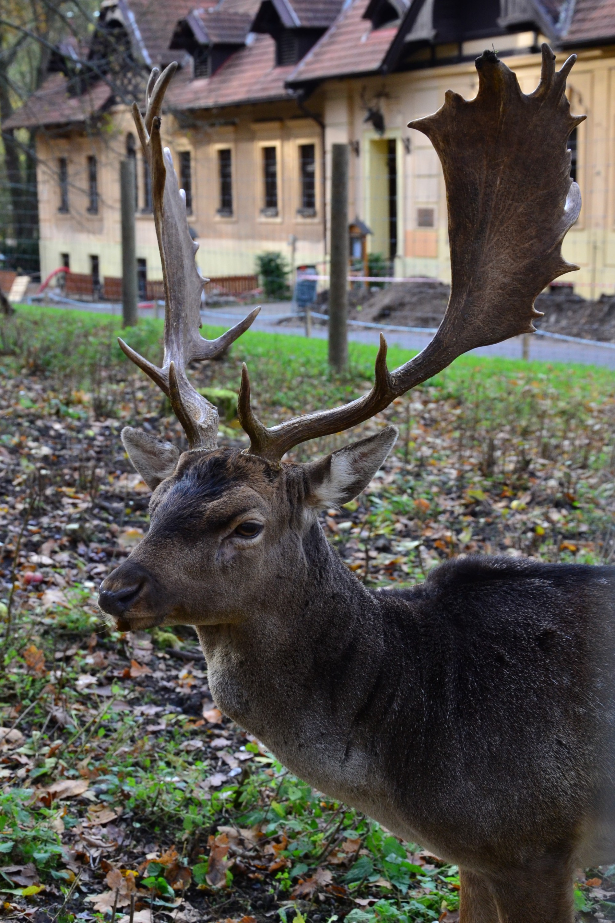 Restaurace Stará Myslivna foto 2