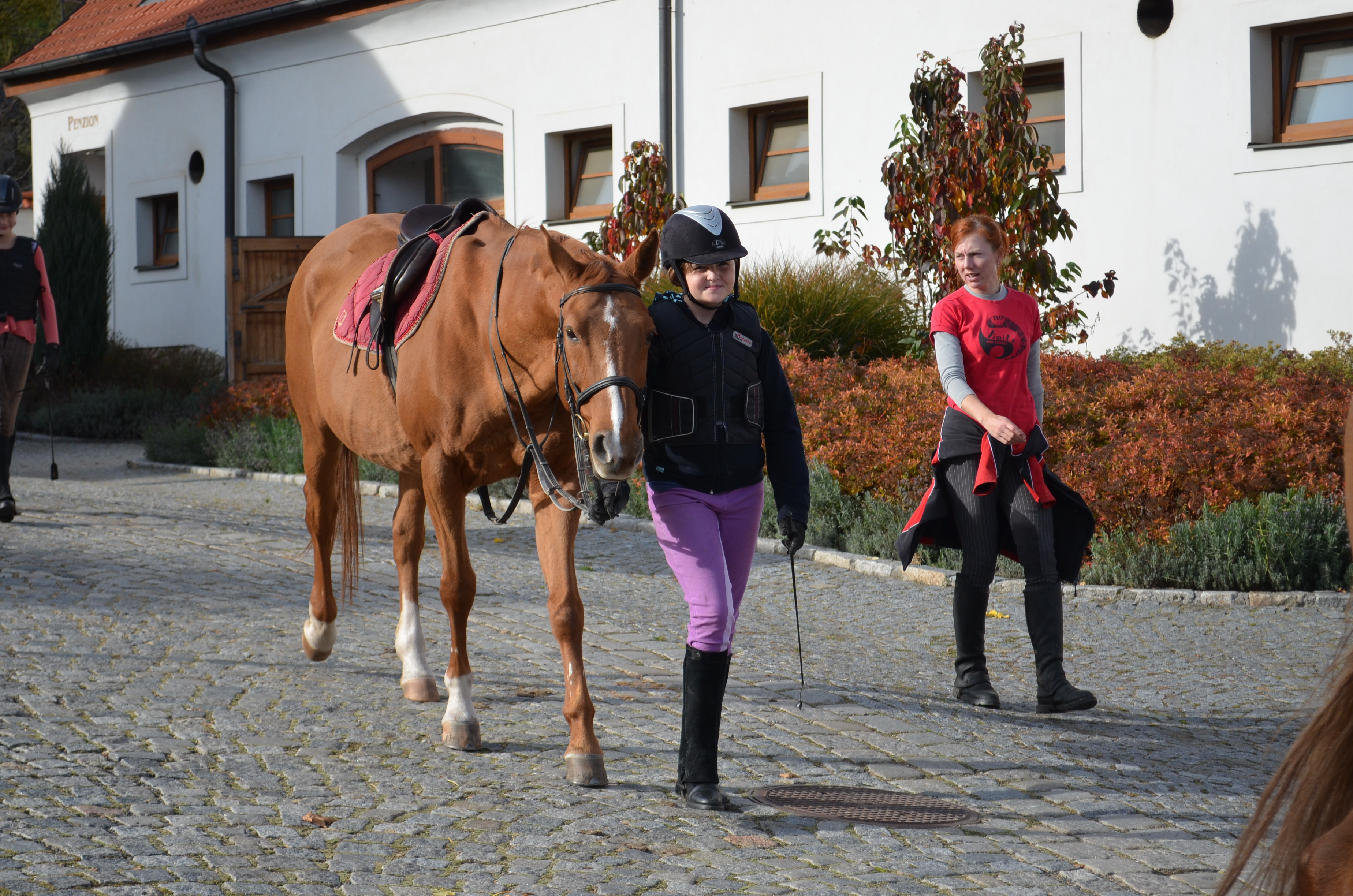 Dvůr Krutěnice foto 4