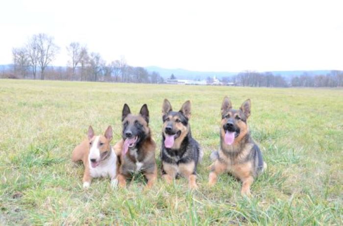 CHS ze Širé pláně foto 2