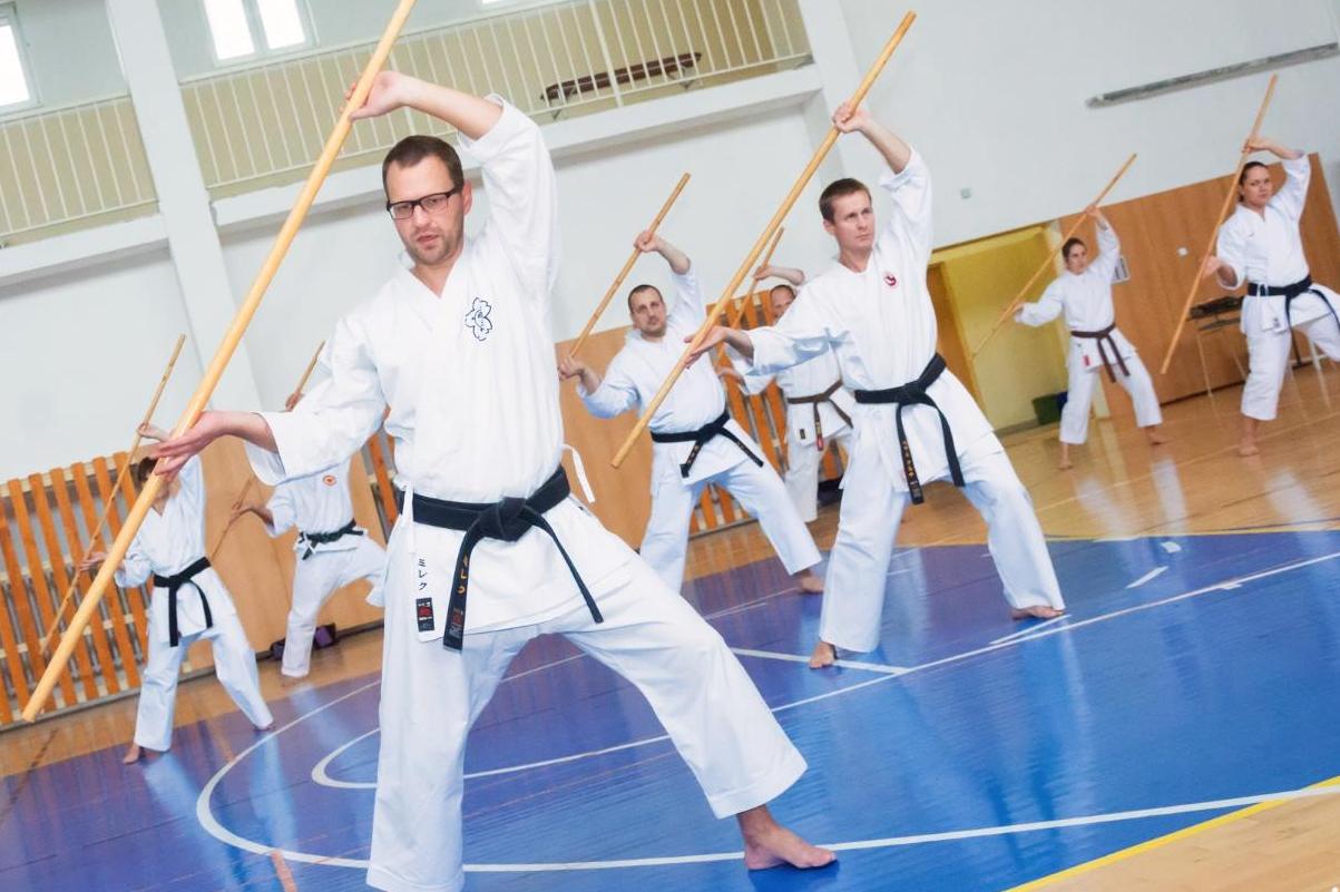 V.I.P. SPORT CLUB OLOMOUC, z.s.