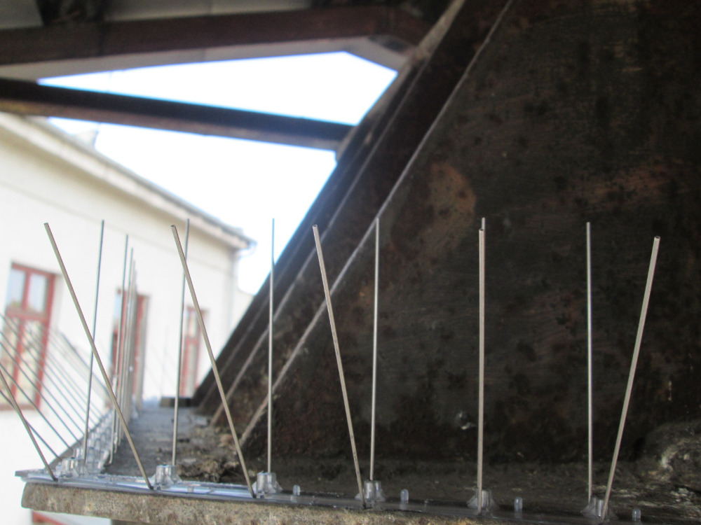 Miloslav Poustka foto 3