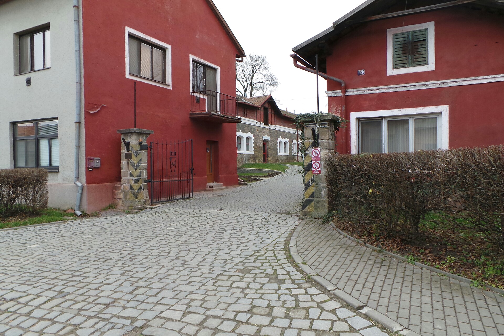 Český svaz chovatelů plnokrevníka a majitelů dostihových koní