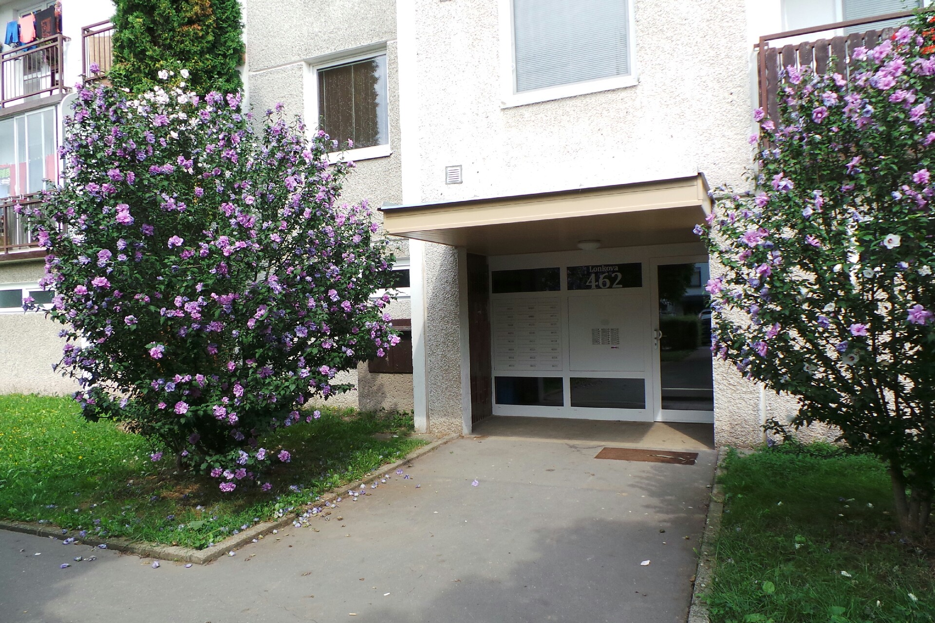 Michal Šidlák - BOZP