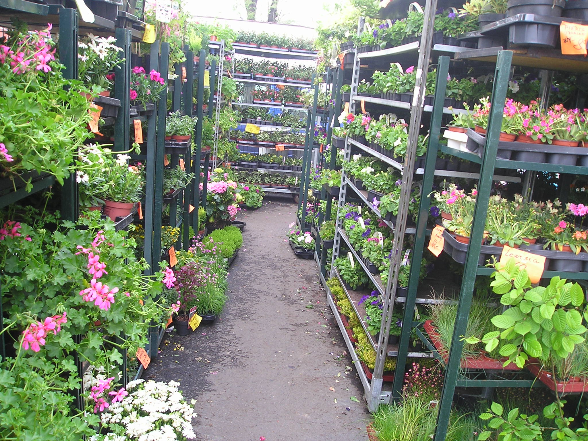 Zahradní a květinové centrum Senomaty foto 4