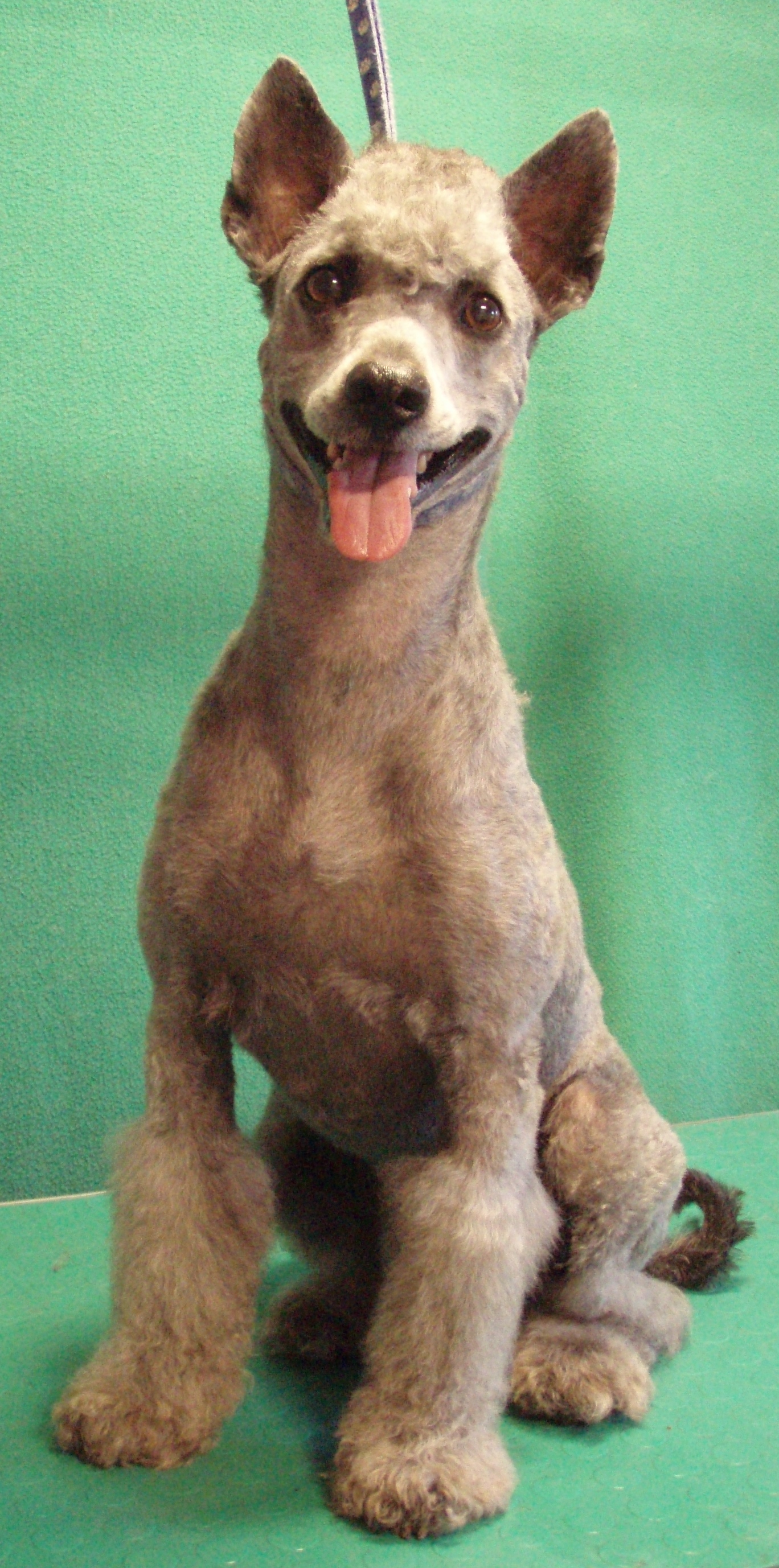 Salón Lady Barnett´s foto 3