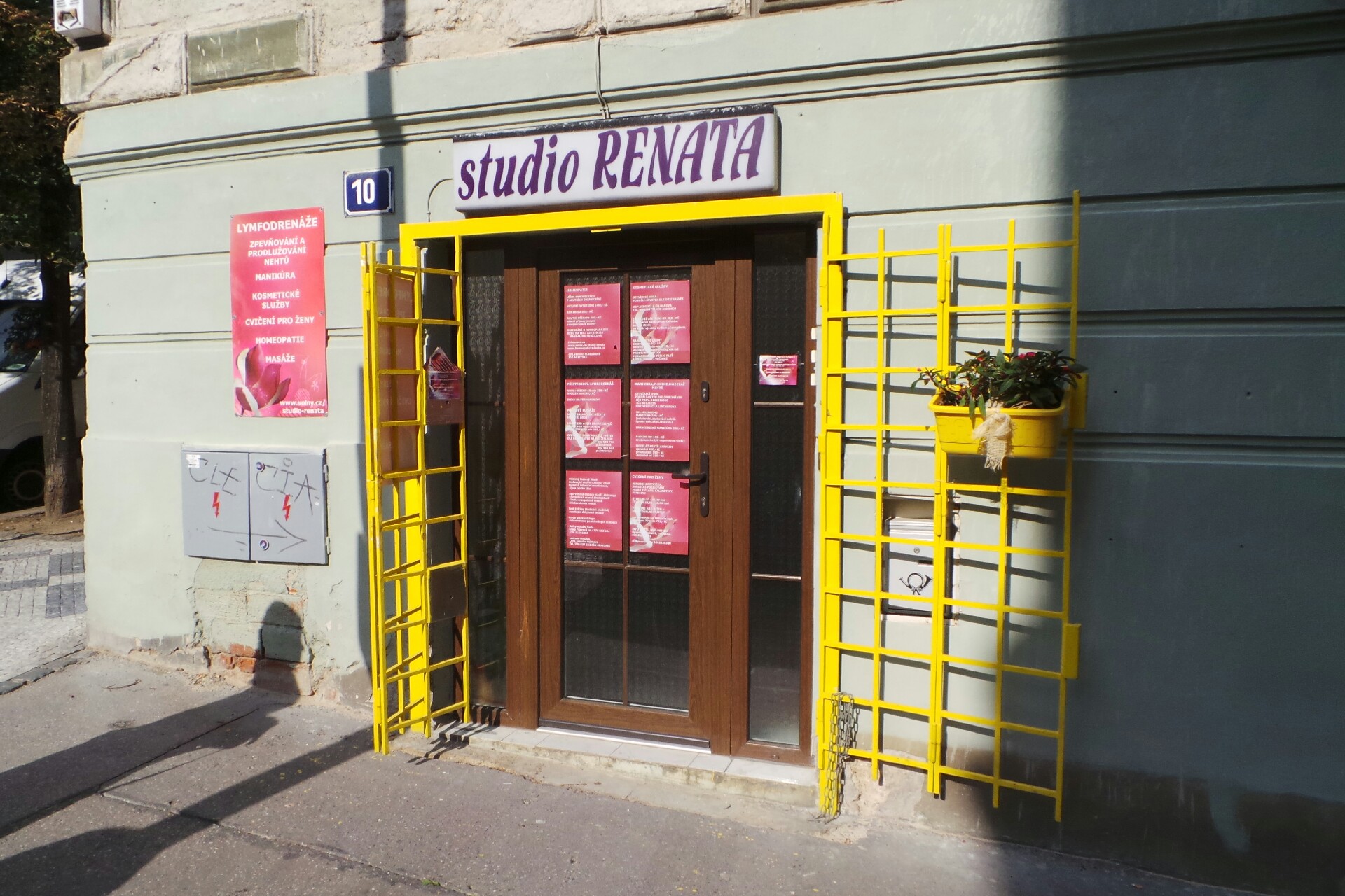 Myosotis sylvatica - Magdalena Neužilová