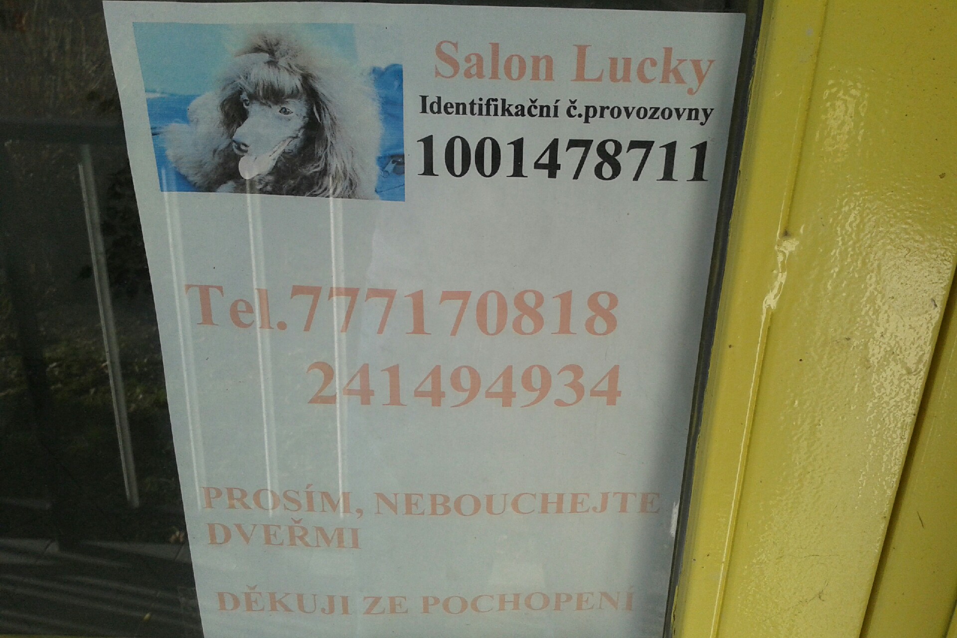 SALON LUCKY foto 2