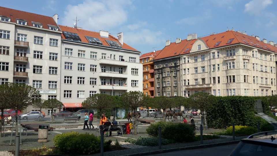 Thomas Bastin foto 3