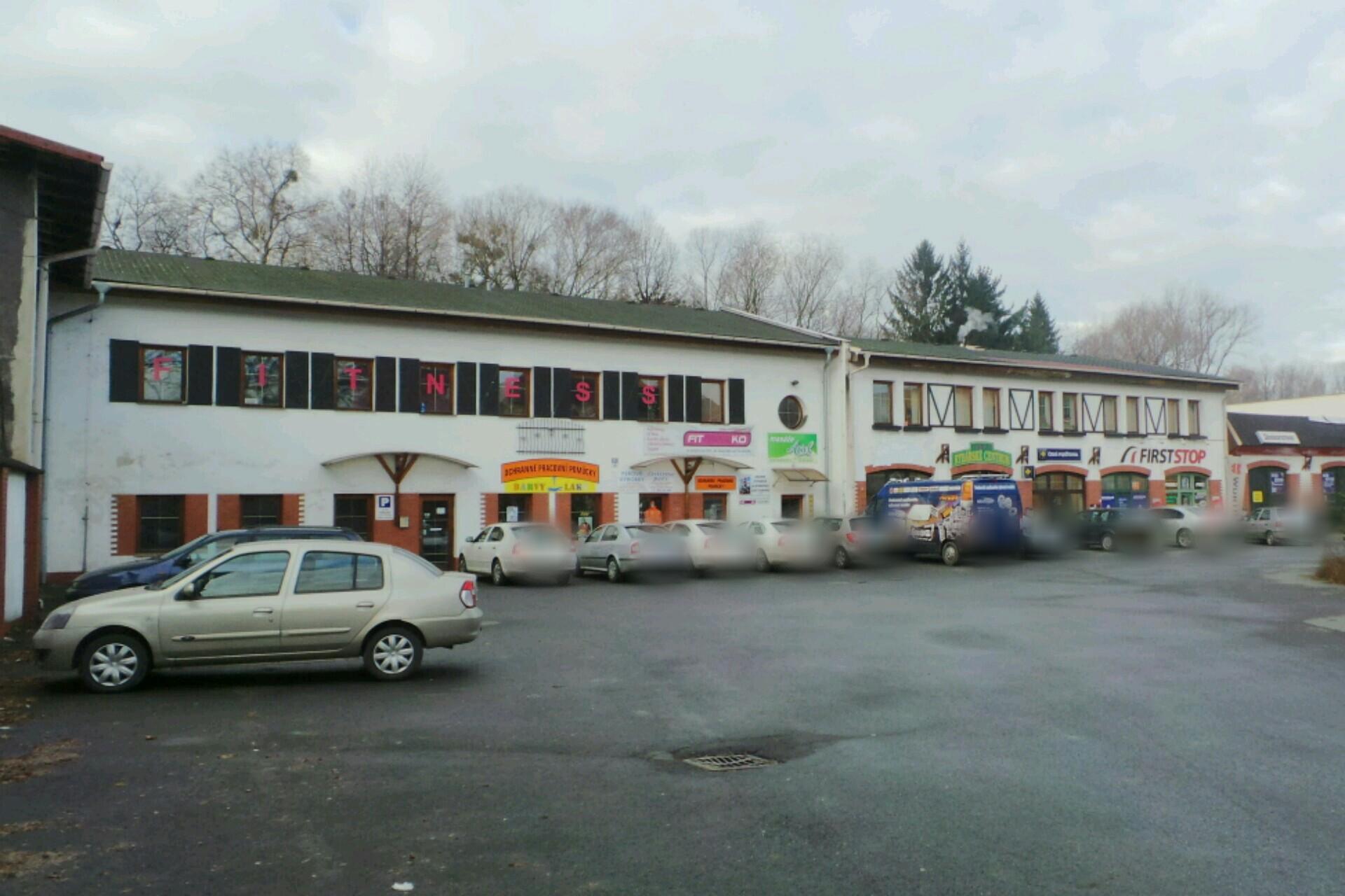 Ing. Bc. Ivana Wojnarová