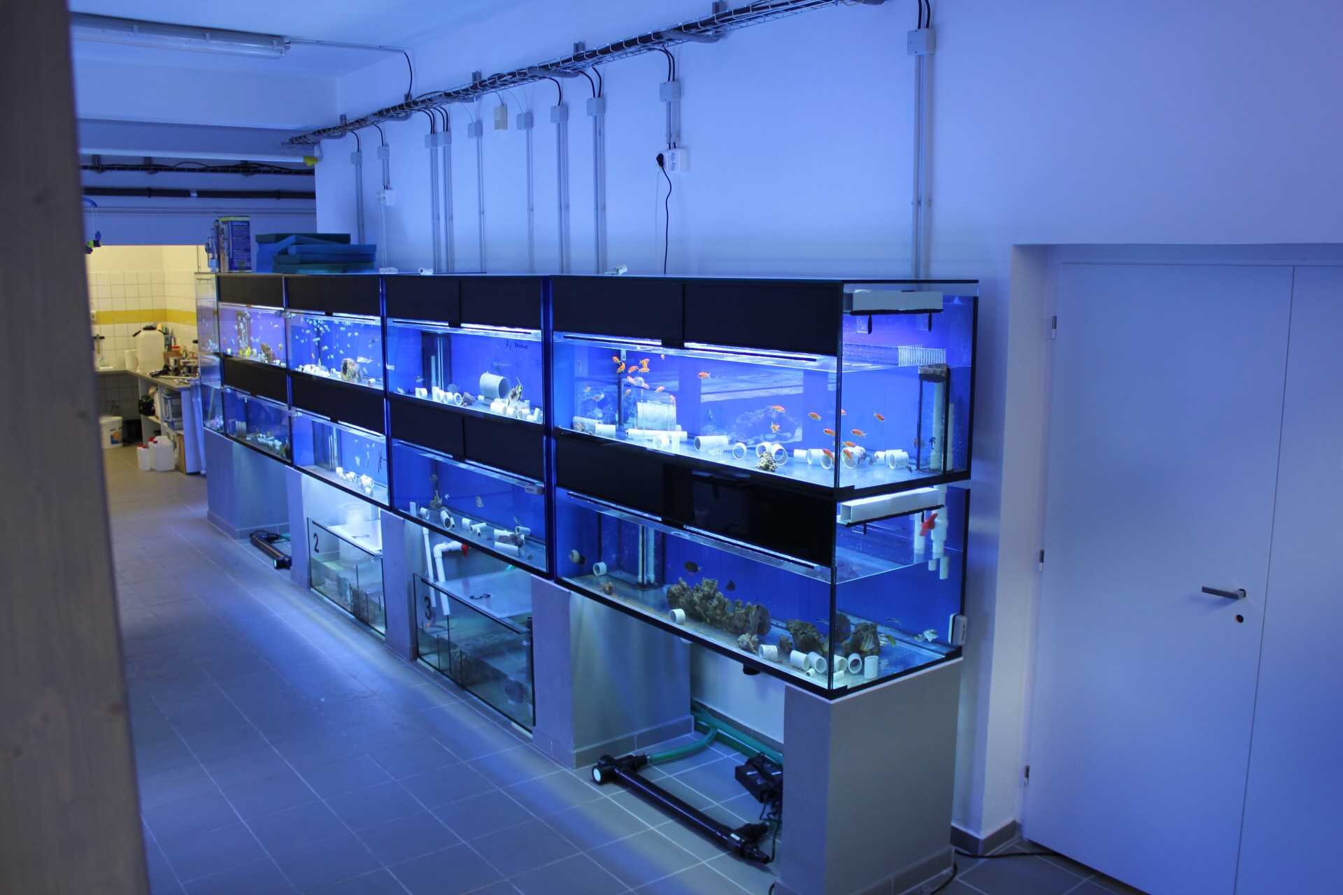 Mořské akvárium Pepinův útes foto 4