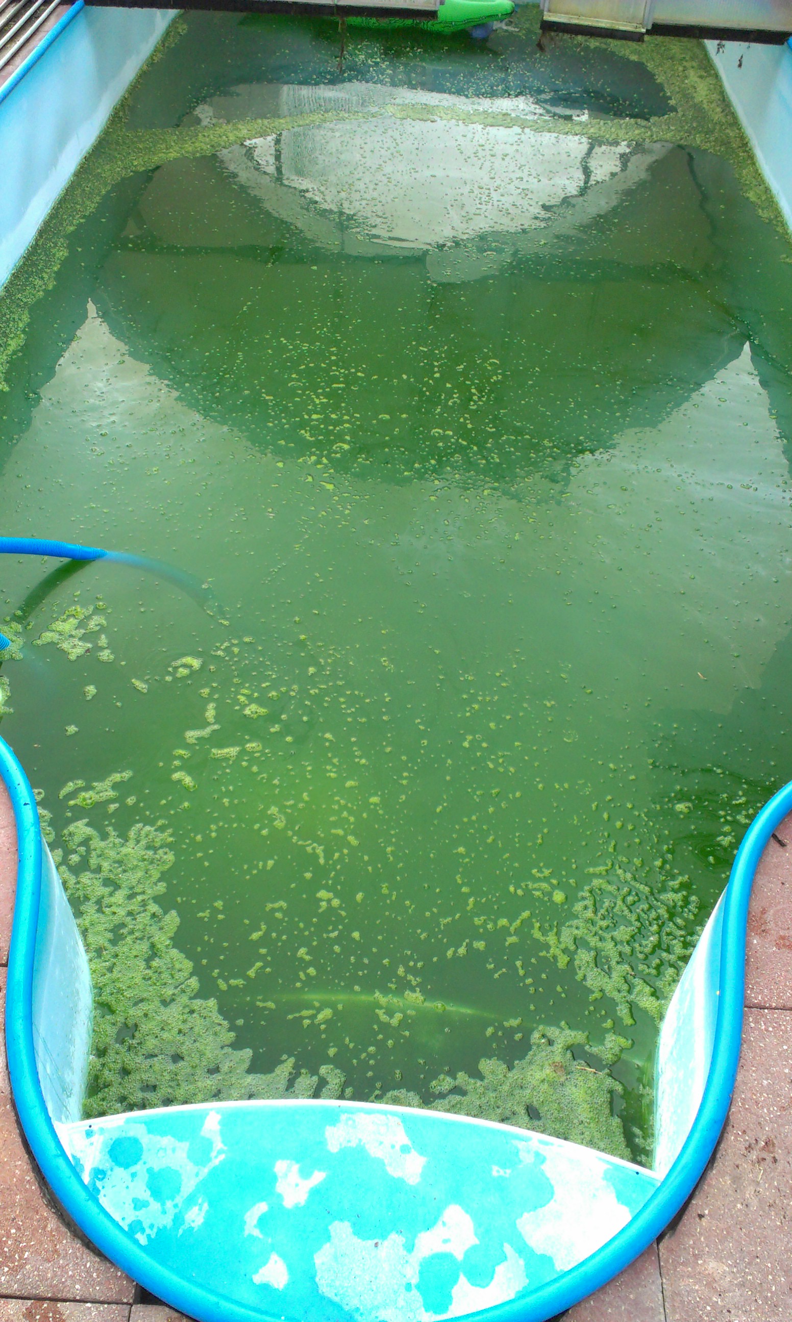 CRYSTALPOOL, s.r.o. foto 2
