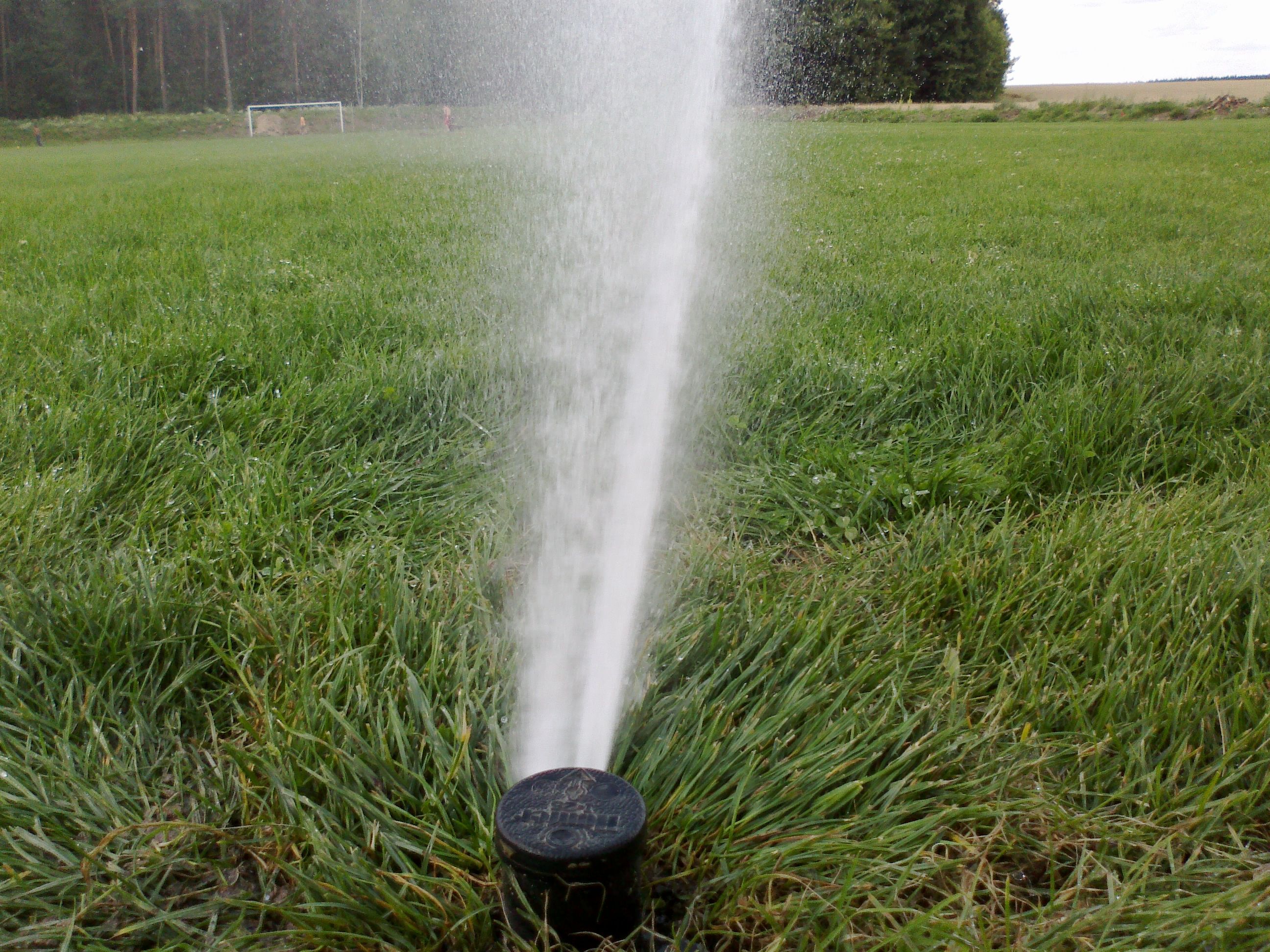 Petr Třeštík - Sprinkler System foto 4