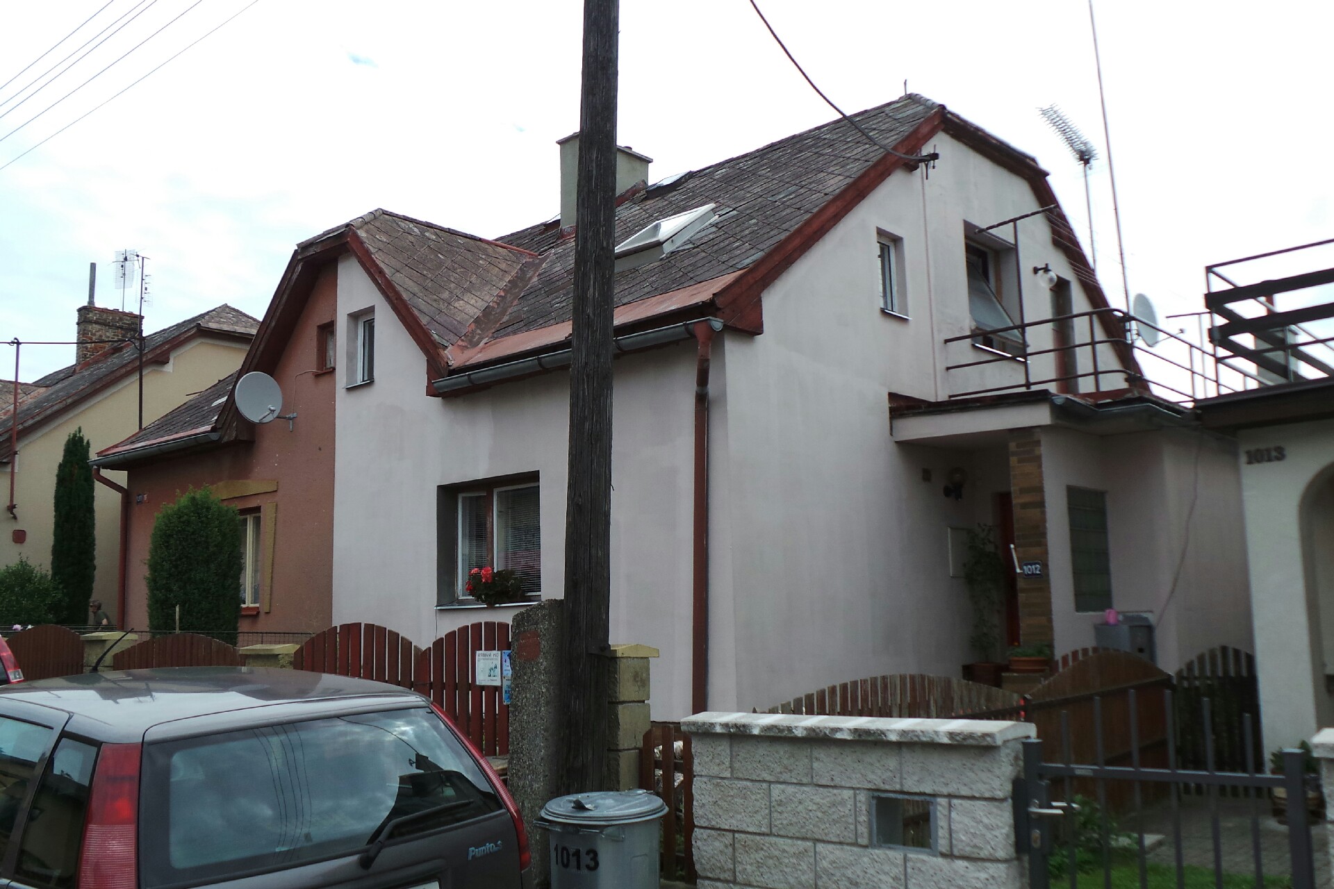 Stříhání psů Hana Homolková foto 2