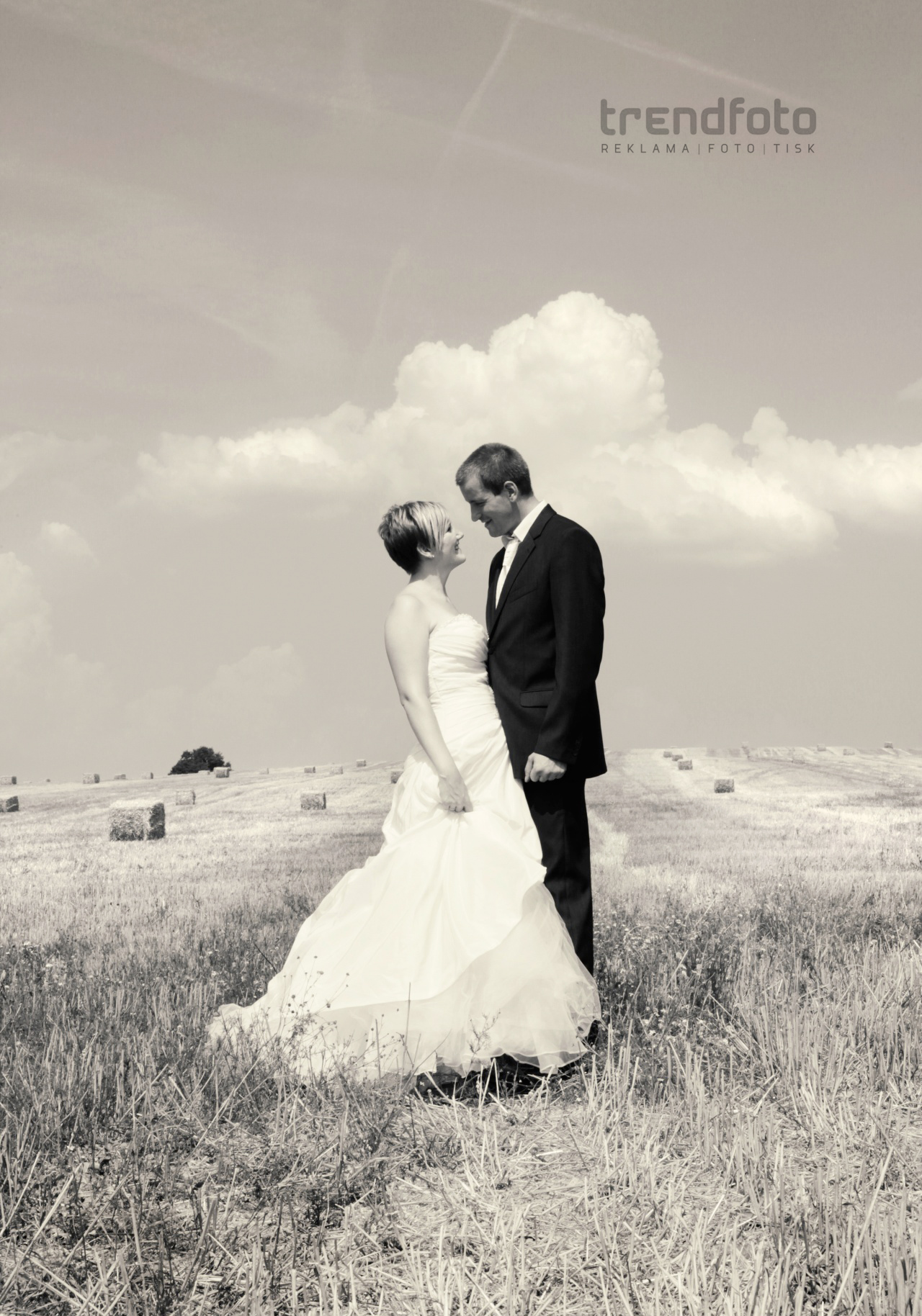 Radek Mládenka - Reklamní studio Trend foto 4