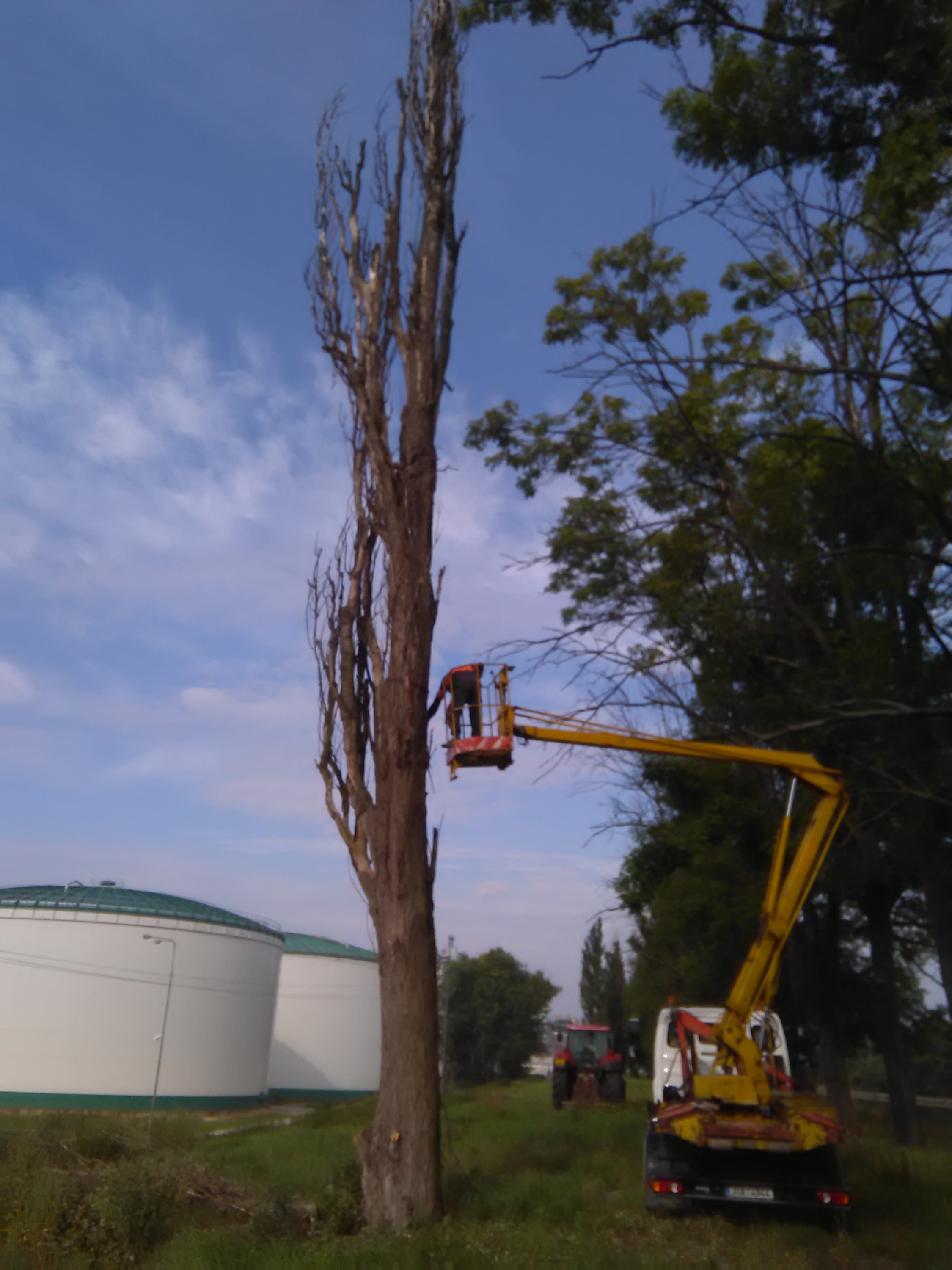 Výšky a práce - Sunflower Trade s.r.o. foto 3