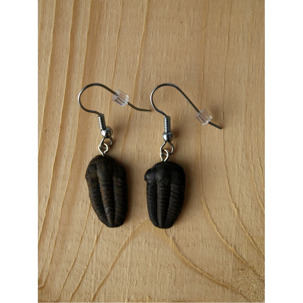 Czechfossilsandminerals.com foto 5