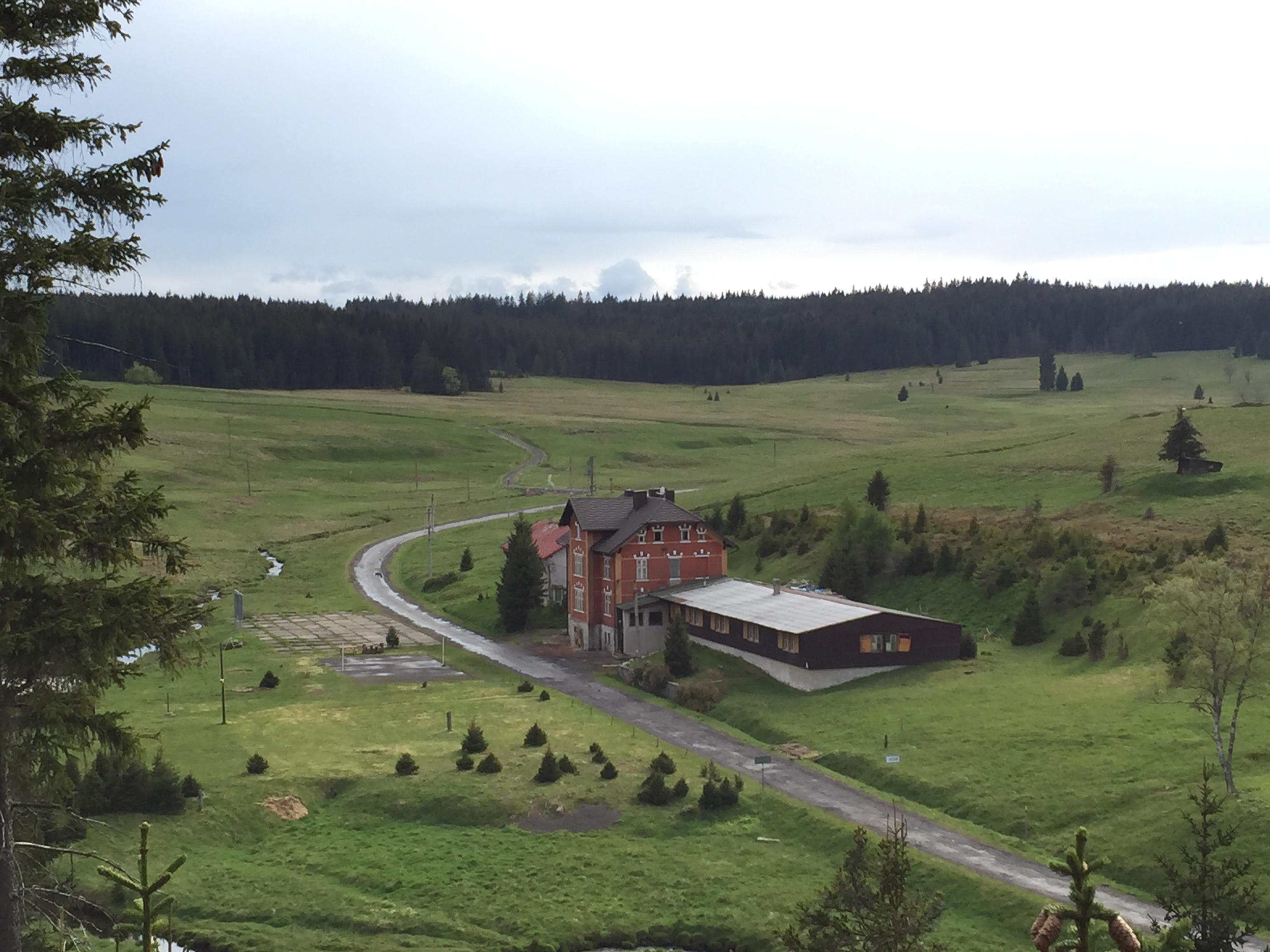 Alice Janstová - Mezi Jeleny foto 3