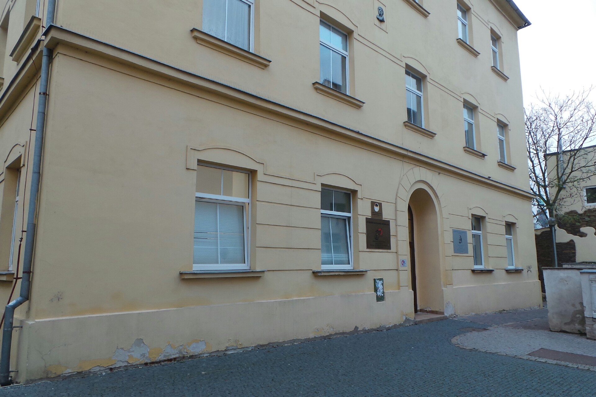 Francouzsko-český klub Kladno foto 1