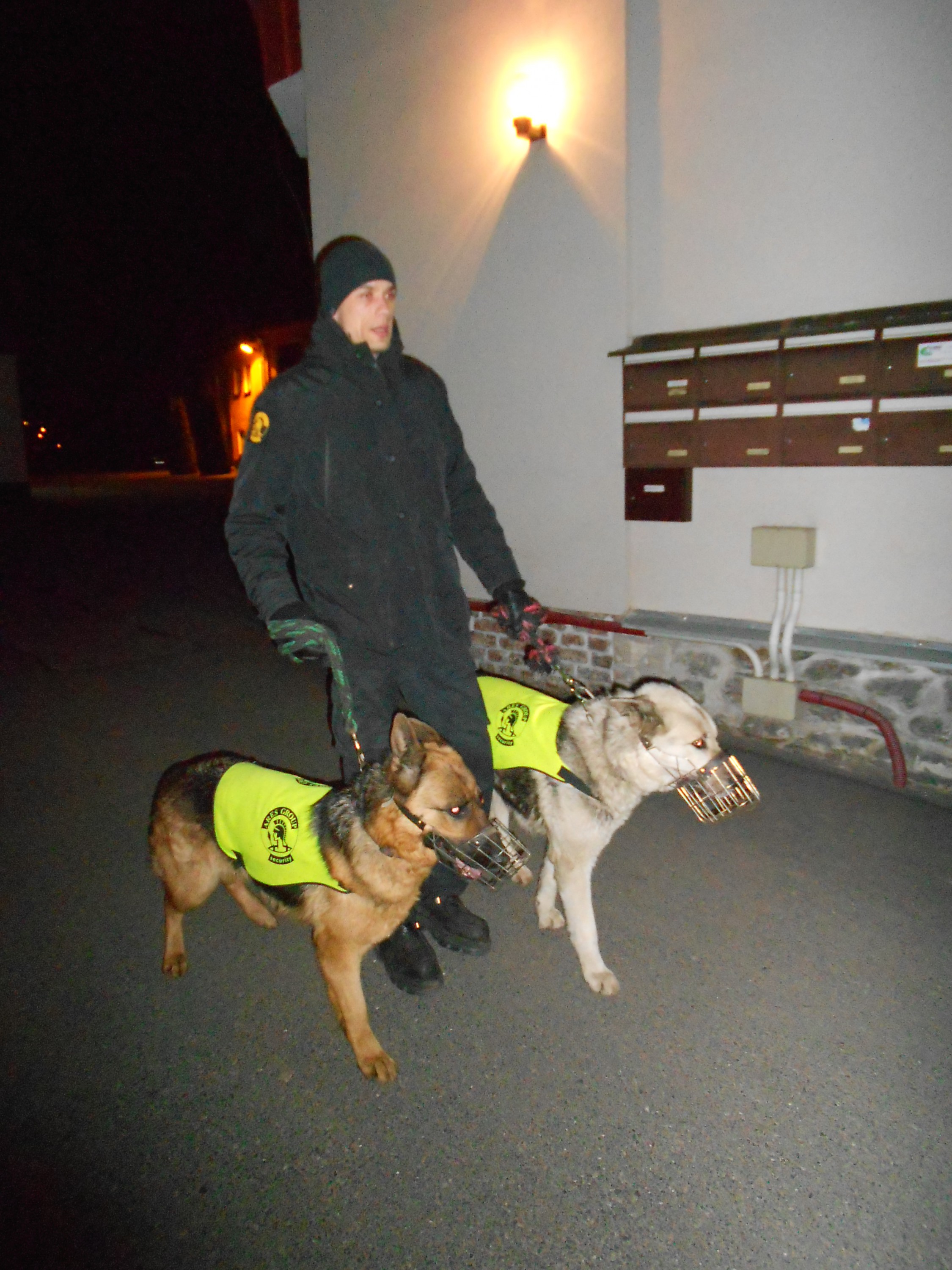 Bezpečnostní agentura ARES GROUP s.r.o. foto 4