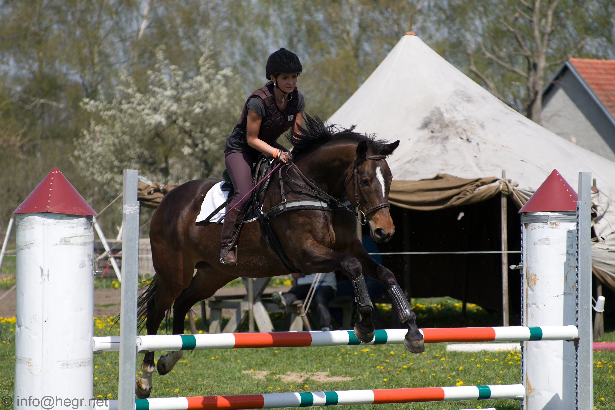 Jezdecký spolek Doudleby nad Orlicí foto 3