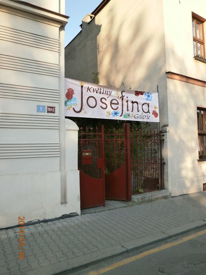 Květiny Josefina foto 2