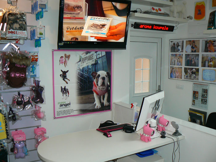 Dog DREAM foto 4