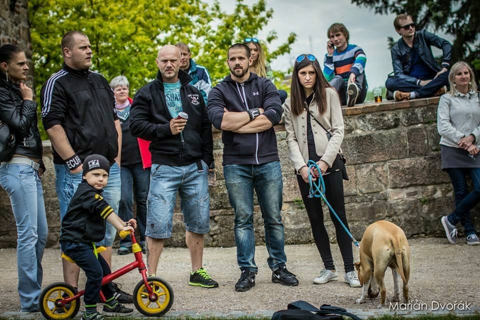 Pořadatelská služba Martin Křelina foto 3