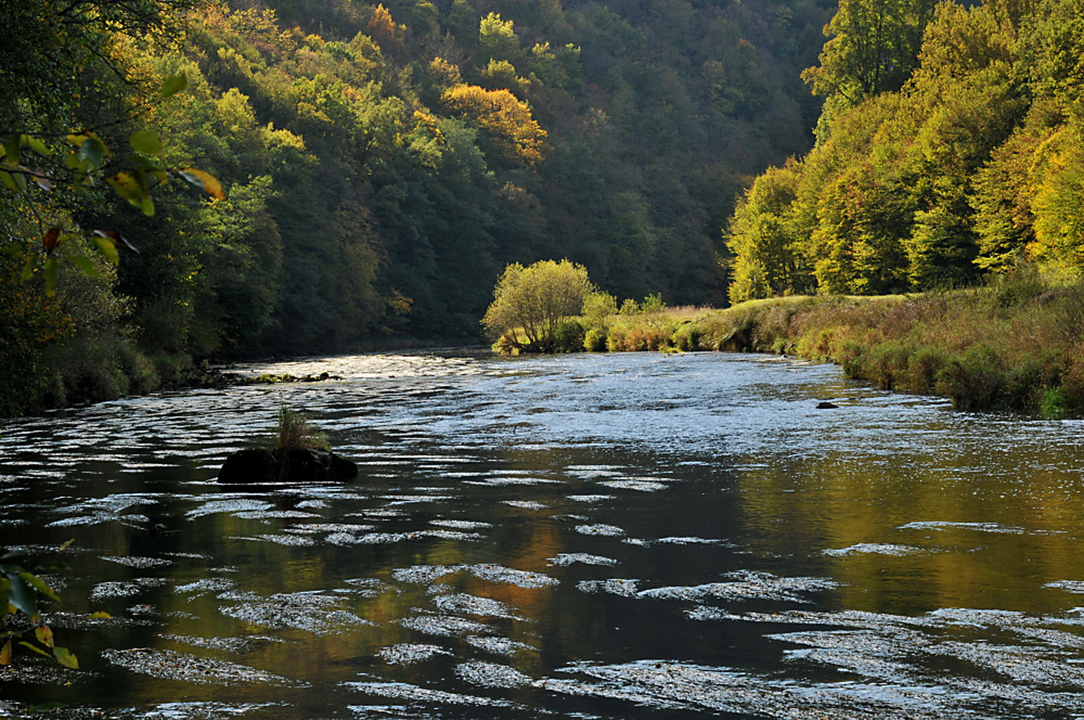 Penzion U Mišpule foto 5